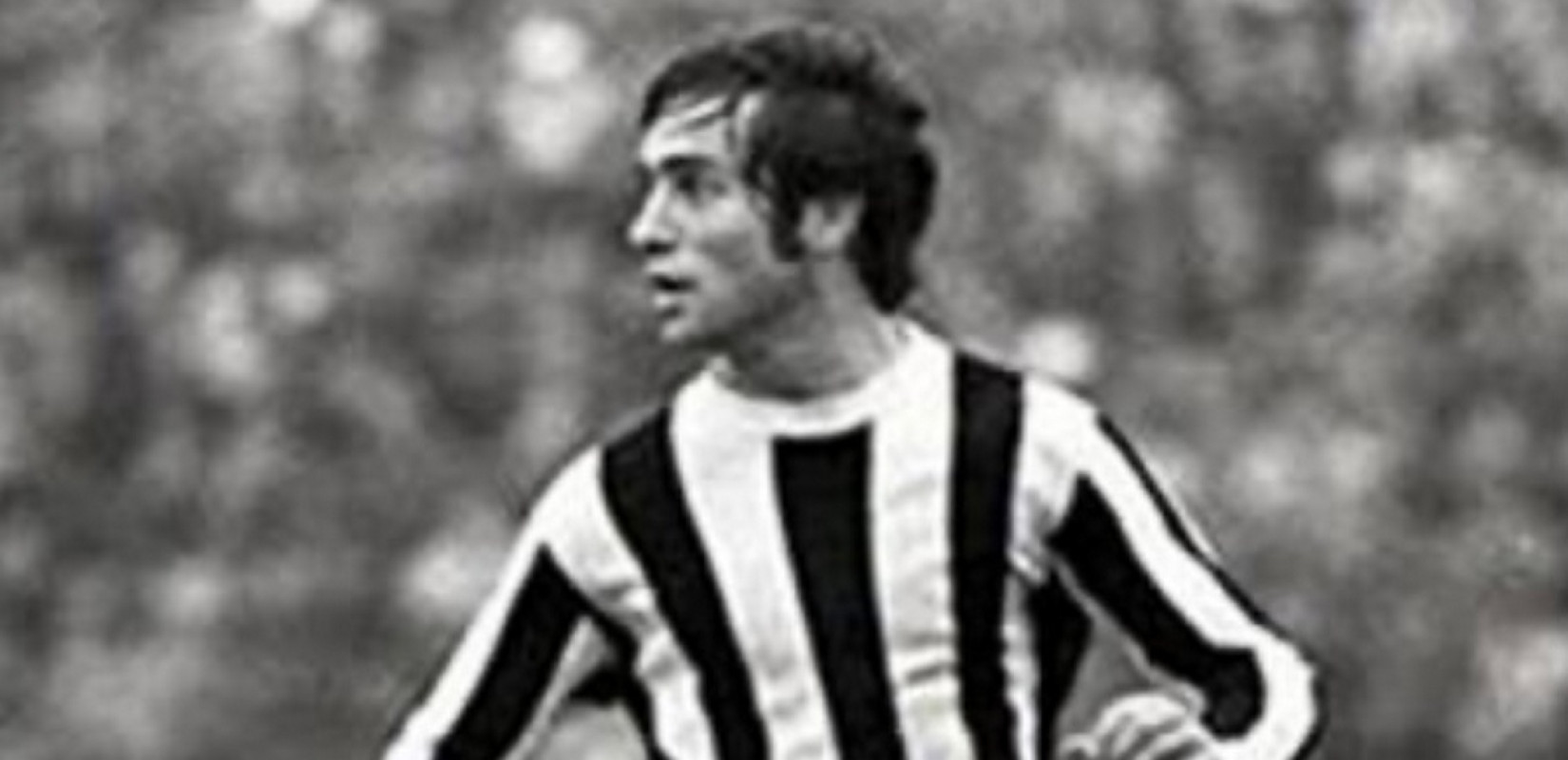 Κούλης Αποστολίδης: Χρειάζεται τύχη αλλά πρωτίστως πρέπει να έχεις γνώση και ταλέντο