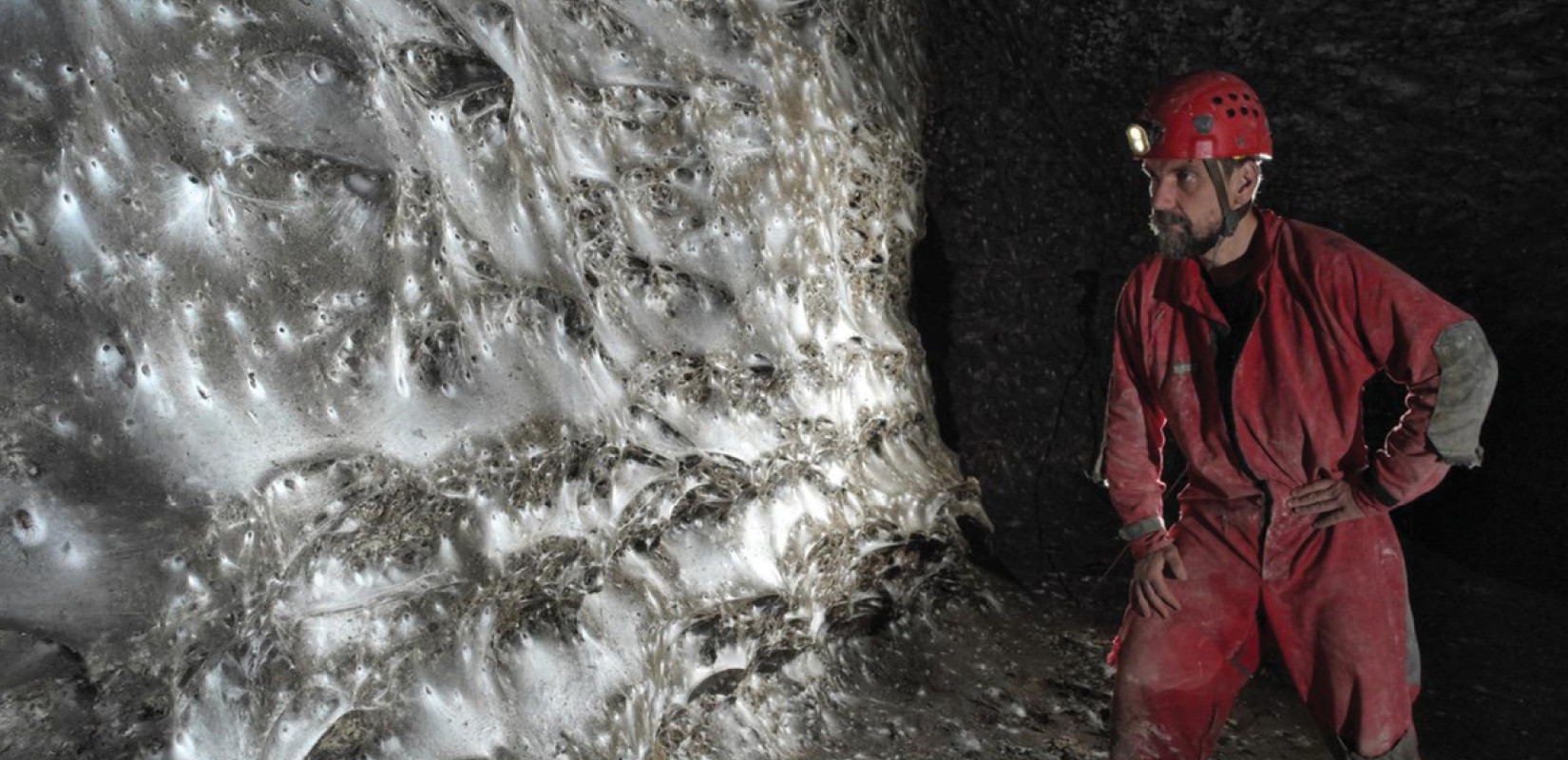 Βρέθηκε ένας από τους μεγαλύτερους ιστούς αραχνών στα σύνορα Ελλάδας - Αλβανίας με πάνω από 11.000 έντομα