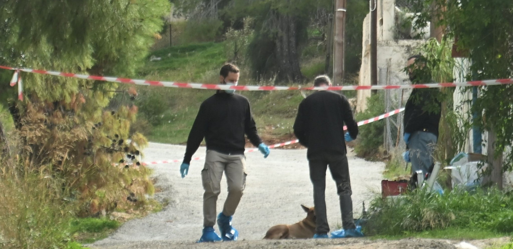 Σαλαμίνα: Xτύπησαν την 75χρονη με ρόπαλο πριν την ληστέψουν - Τον μαρτυρικό της θάνατο δείχνει το πόρισμα του ιατροδικαστή