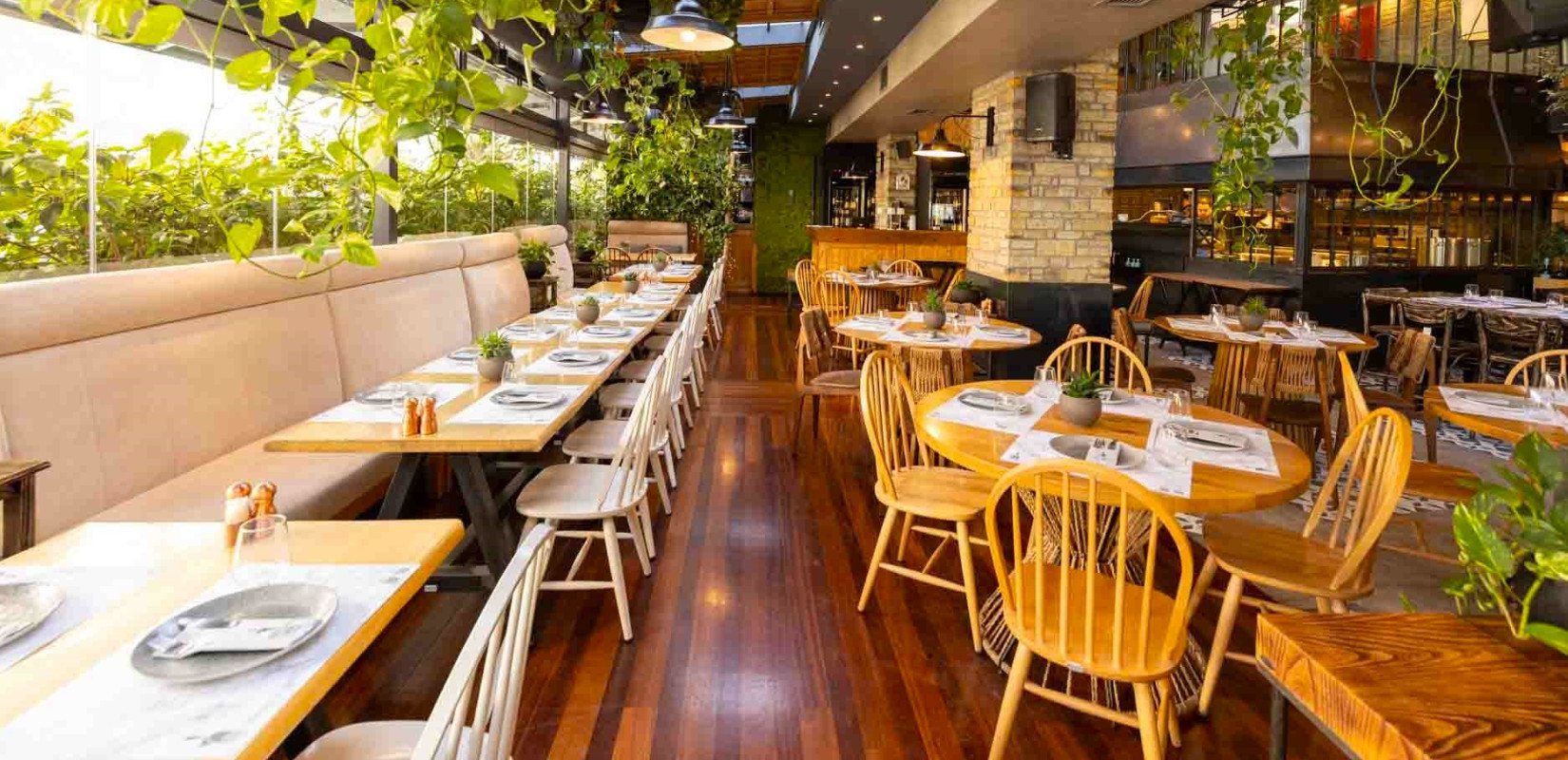 Βρεγμένη Γάτα: Άνεση και προσιτή πολυτέλεια στην Κάτω Τούμπα