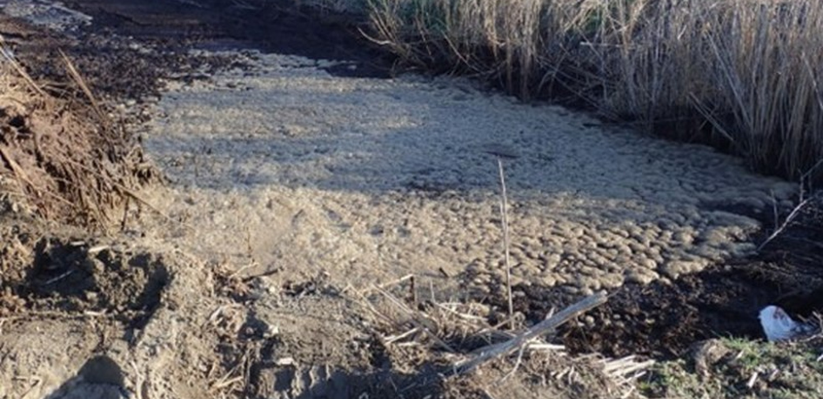 Θεσσαλονίκη: Πρόεδρος εταιρείας κατηγορείται για παράνομη ρίψη βιομηχανικών αποβλήτων σε προστατευόμενη περιοχή