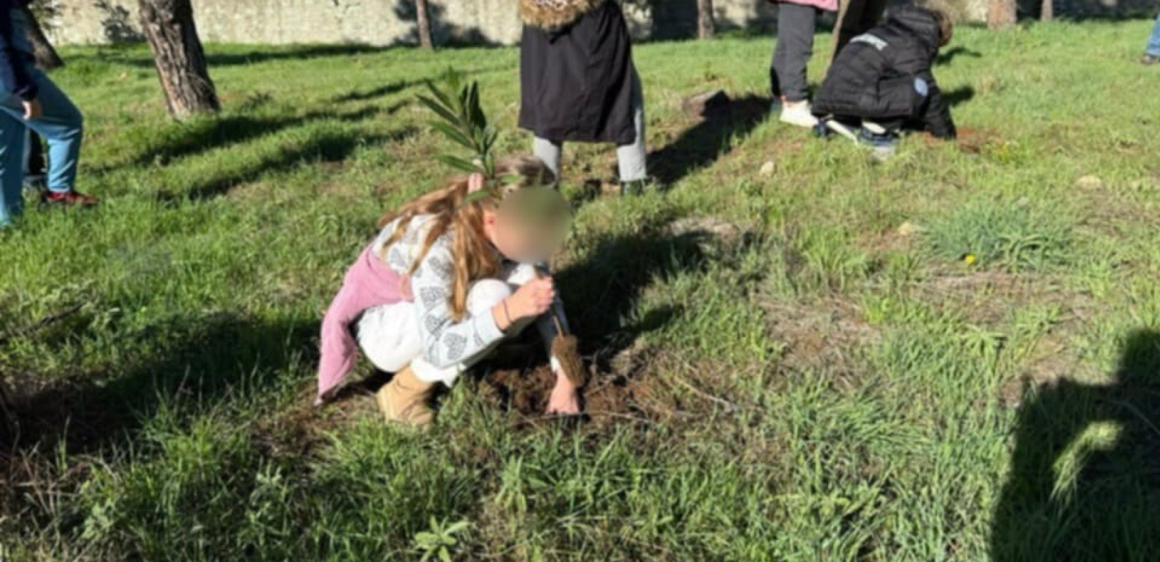 Θεσσαλονίκη: 600 νέα δέντρα στο περιαστικό δάσος Τούμπας από το Δήμο και μαθητές