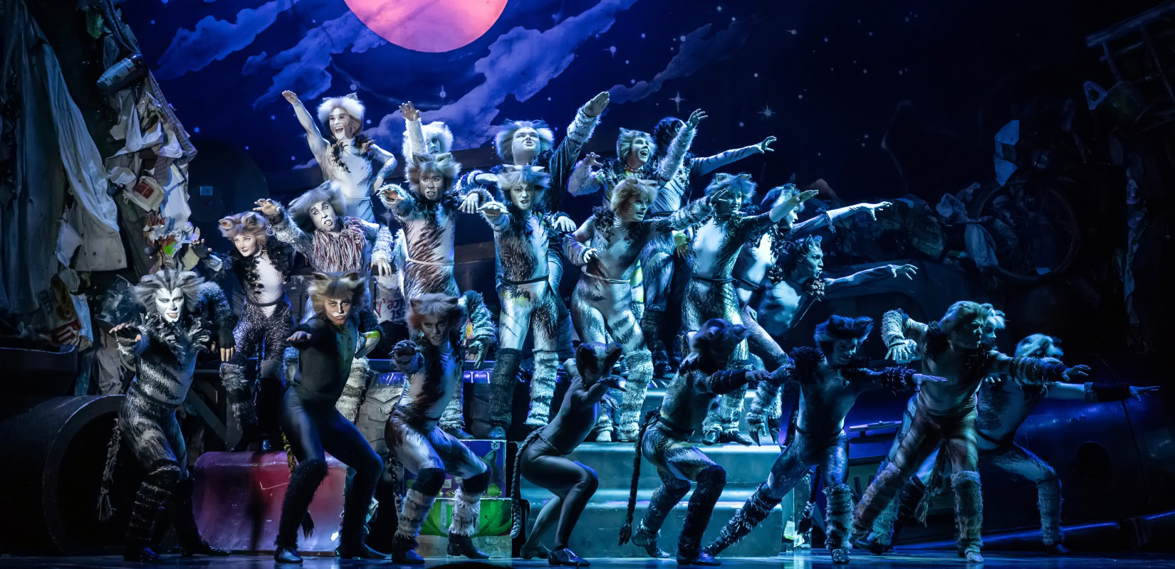 Θριαμβευτική πρεμιέρα για το μιούζικαλ CATS στο Μέγαρο Μουσικής Θεσσαλονίκης