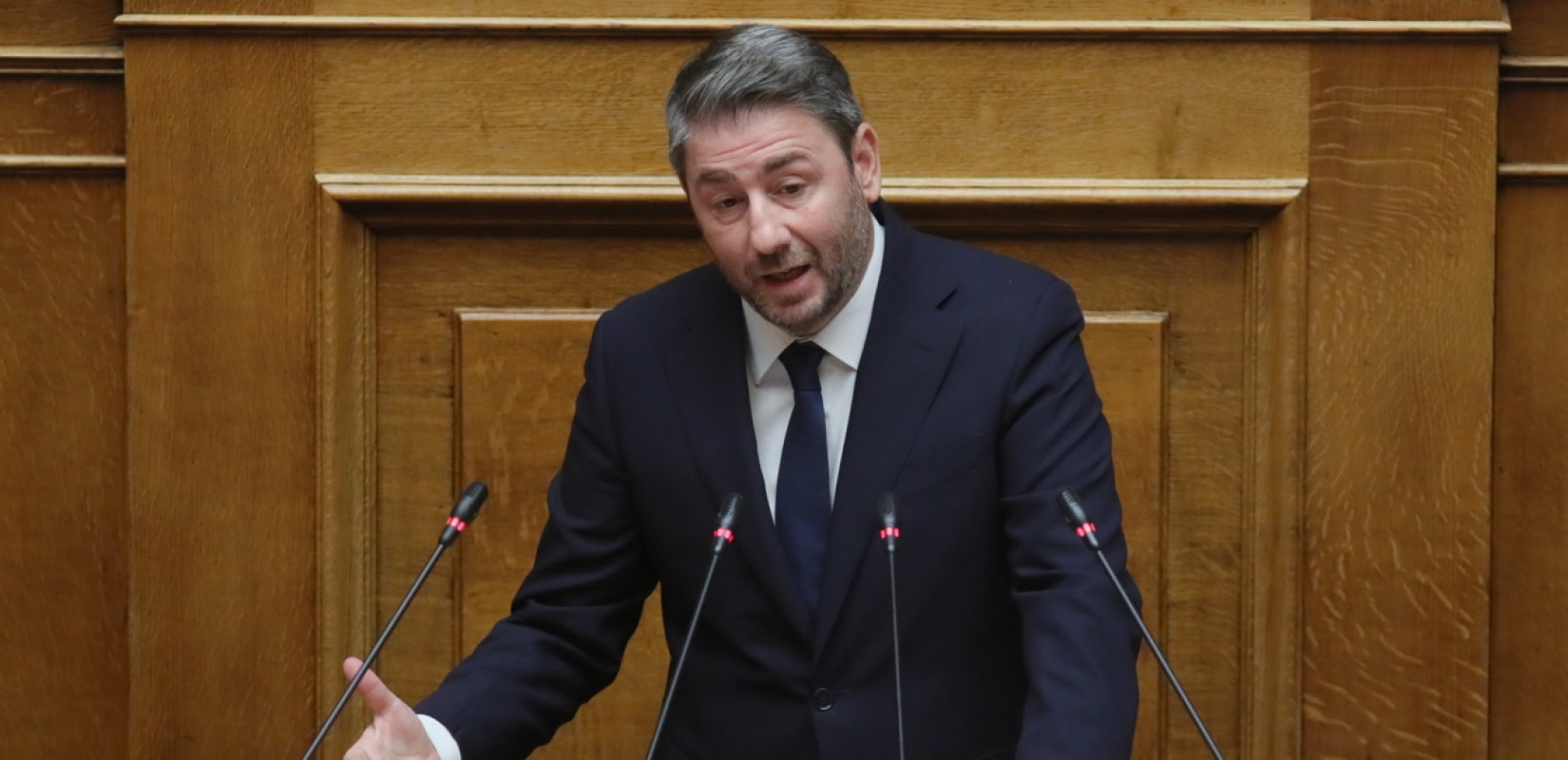 Ανδρουλάκης: «Νίκη της Δημοκρατίας η απόρριψη της μεταρρύθμισης Μελόνι»