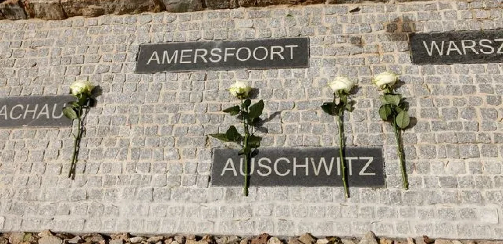 Γερμανία: Ακυρώθηκε δημοπρασία με αντικείμενα του Ολοκαυτώματος μετά από καταγγελίες επιζώντων