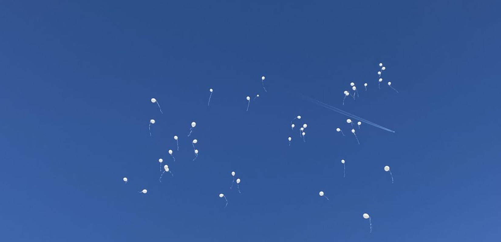 Θεσσαλονίκη: Λευκά μπαλόνια στον ουρανό στη μνήμη των ανθρώπων που σκοτώθηκαν σε τροχαία