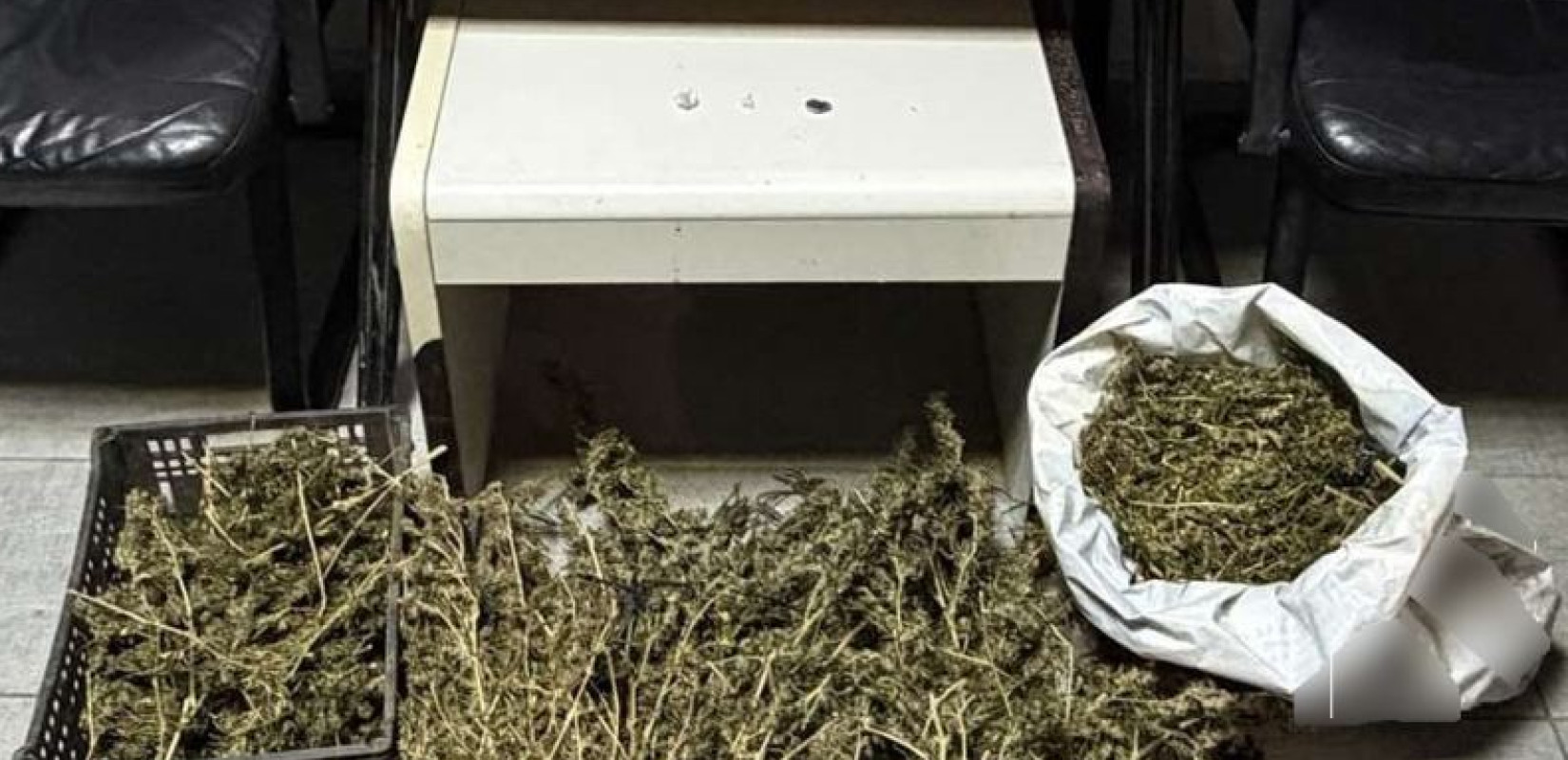 Ναρκω-καβάτζα σε ποιμνιοστάσιο στο Κιλκίς: Συνελήφθη άνδρας με μεγάλες ποσότητες κάνναβης - Κατασχέθηκαν και σκληρά ναρκωτικά