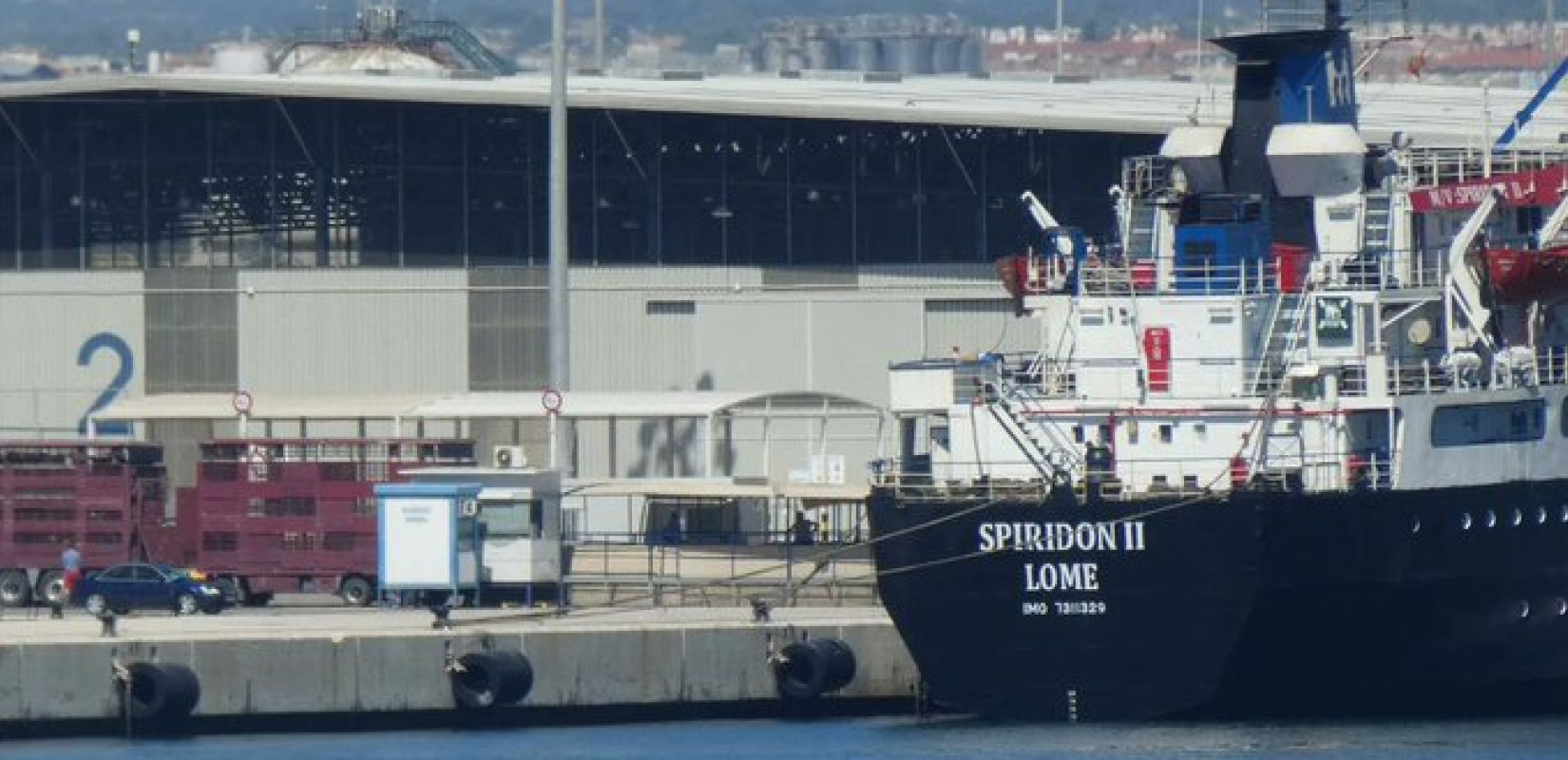 Aποτροπιασμός στην Τουρκία: Τουλάχιστον 58 αγελάδες πέθαναν και 140 γέννησαν πάνω σε πλοίο (βίντεο)