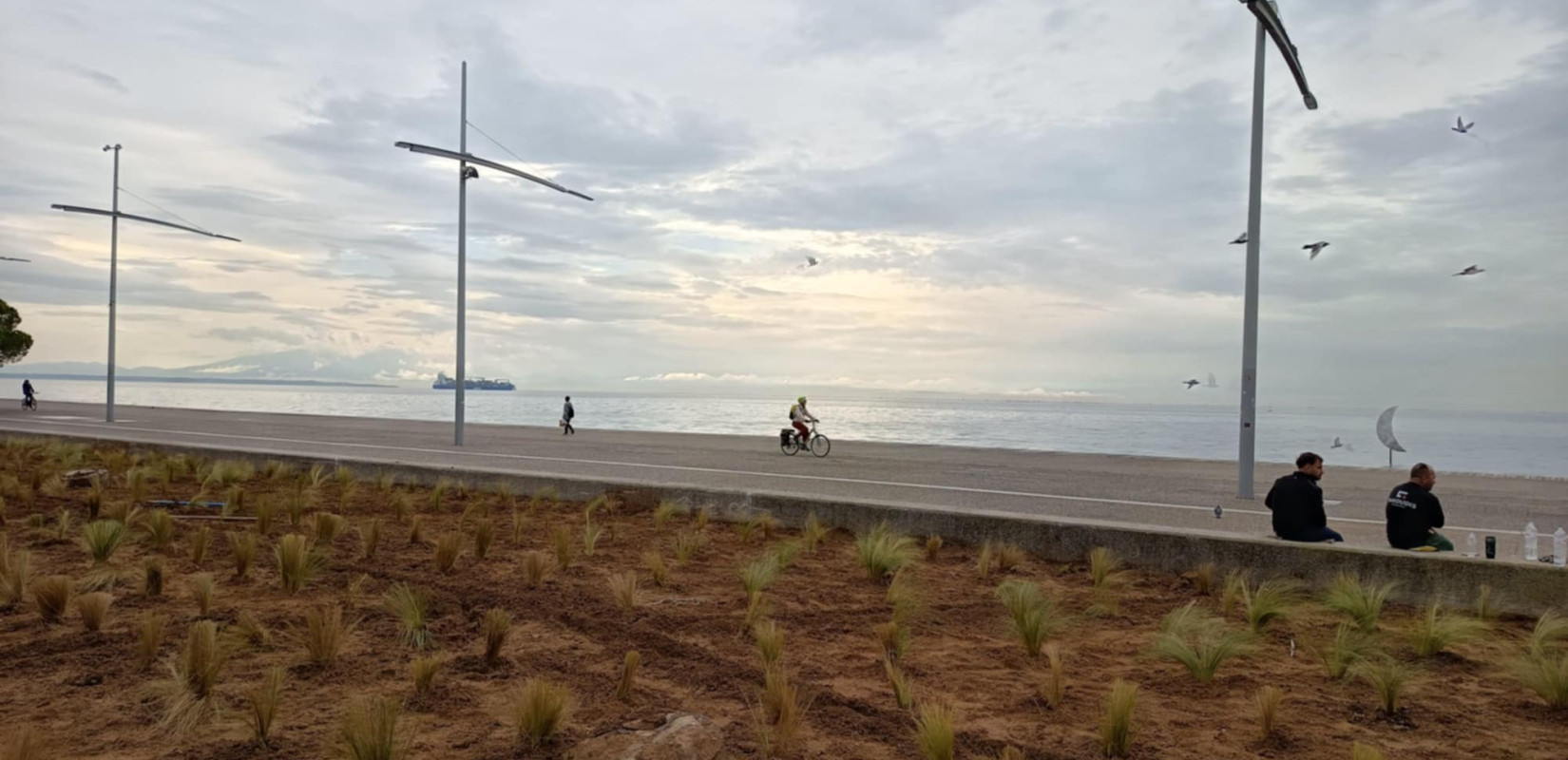 Θεσσαλονίκη: Πρασινίζει ξανά με 1000 στίπες ο Κήπος του Απογευματινού Ηλίου στη Νέα Παραλία (βίντεο)