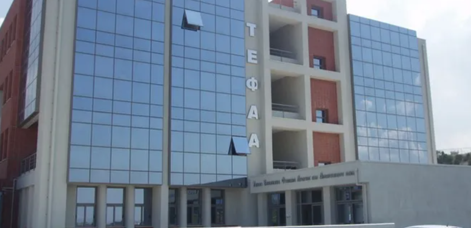 Αναστάτωση στη Θεσσαλονίκη: Λύκος εμφανίστηκε στην αυλή του ΤΕΦΑΑ - Ακυρώθηκε το μάθημα (βίντεο)