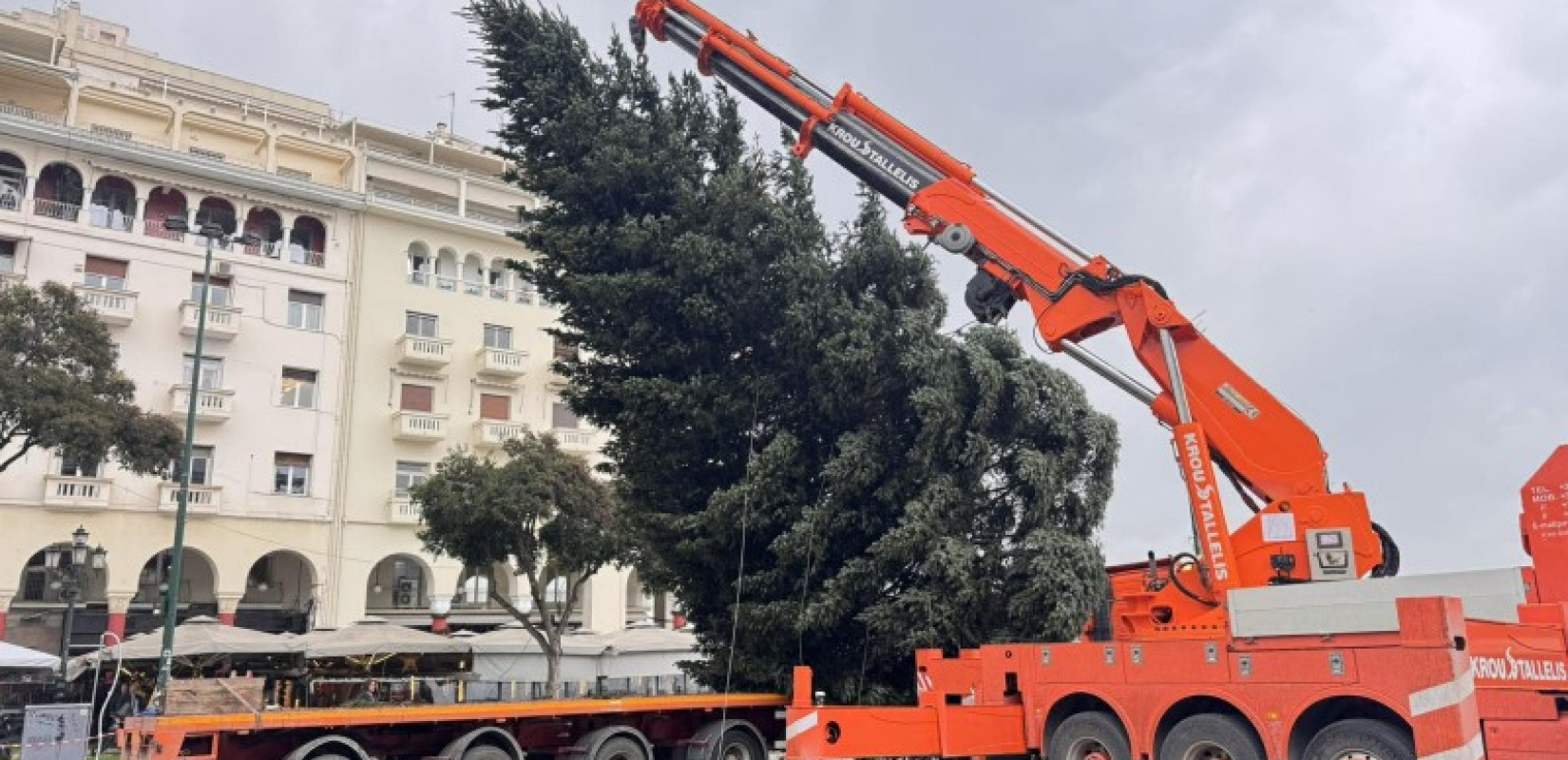 Θεσσαλονίκη: Ξεκίνησε η τοποθέτηση του Χριστουγεννιάτικου δέντρου στην Πλατεία Αριστοτέλους (βίντεο)