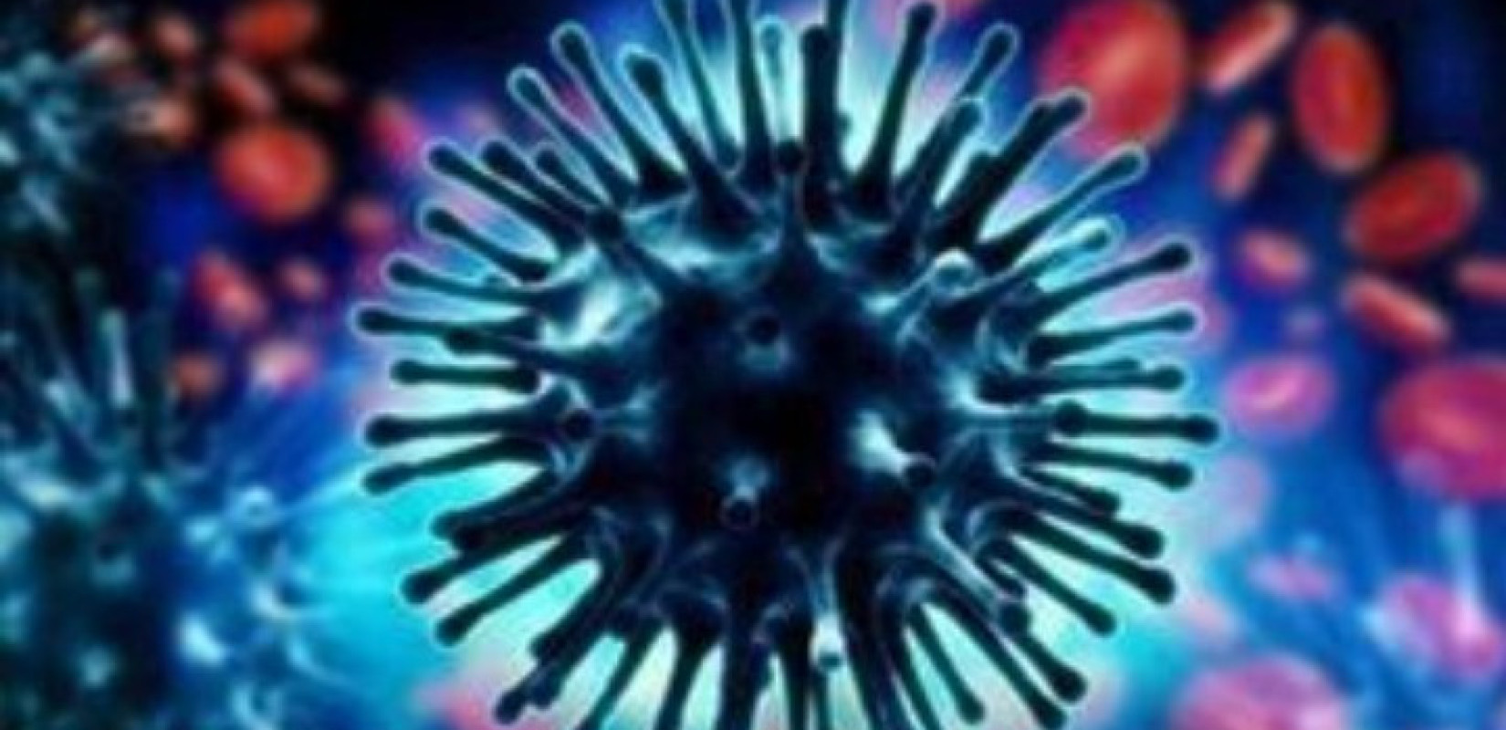 Γαλλία -Ινστιτούτο Παστέρ: Ο ιός της γρίπης των πτηνών θα μπορούσε να προκαλέσει πανδημία χειρότερη της COVID εφόσον μεταλλαχθεί