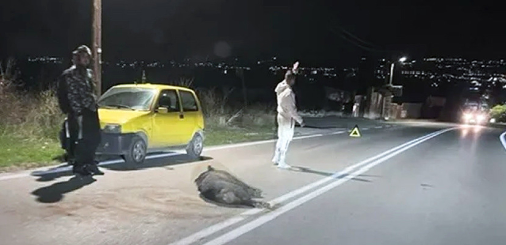 Νέα δήλωση-παρέμβαση του δημάρχου Νεάπολης-Συκεών για τα αγριογούρουνα