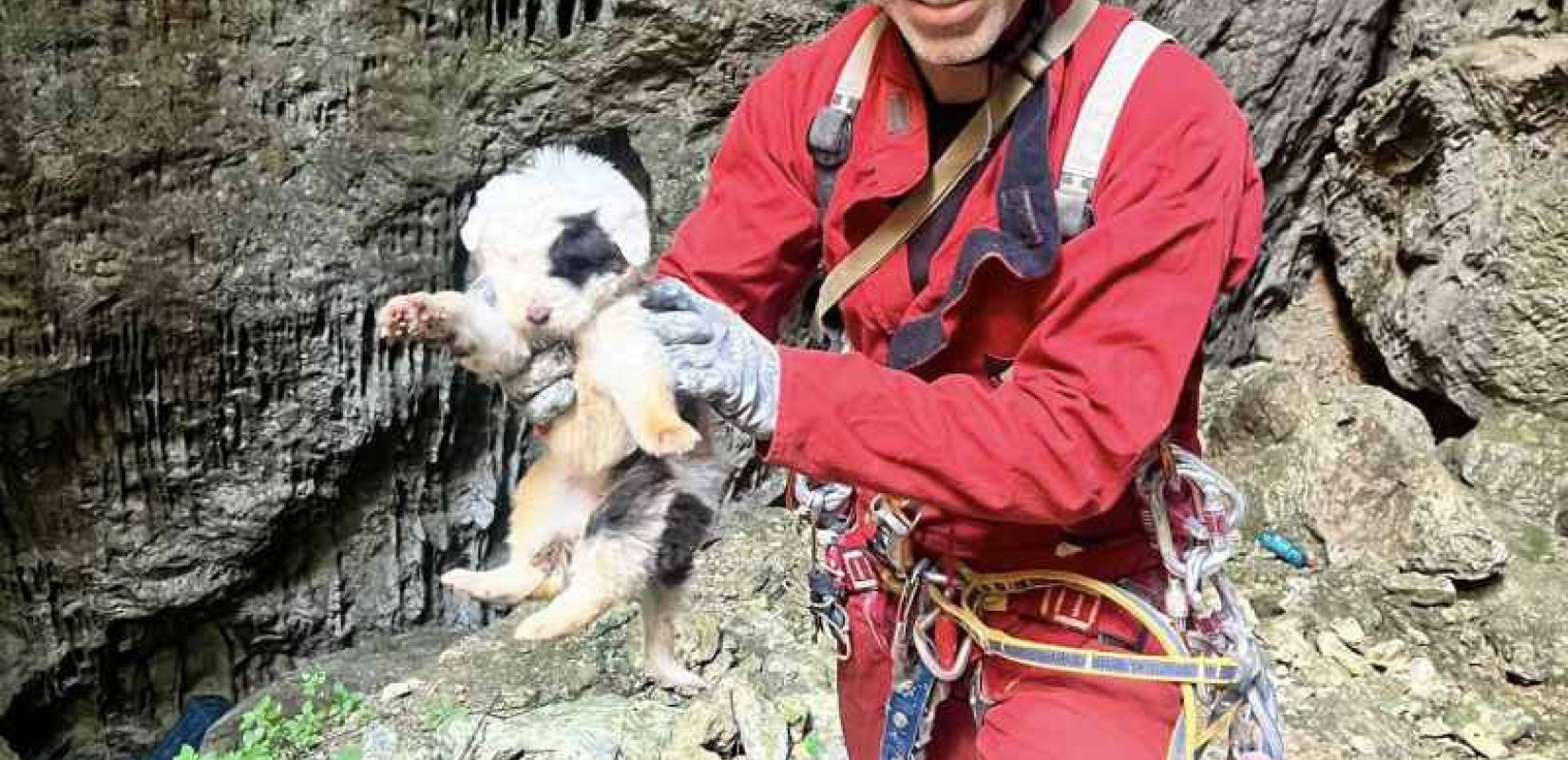 Φρίκη στο Πήλιο: Πέταξαν κουταβάκια σε γκρεμό 20 μέτρων - Μόνο ένα επέζησε (βίντεο)