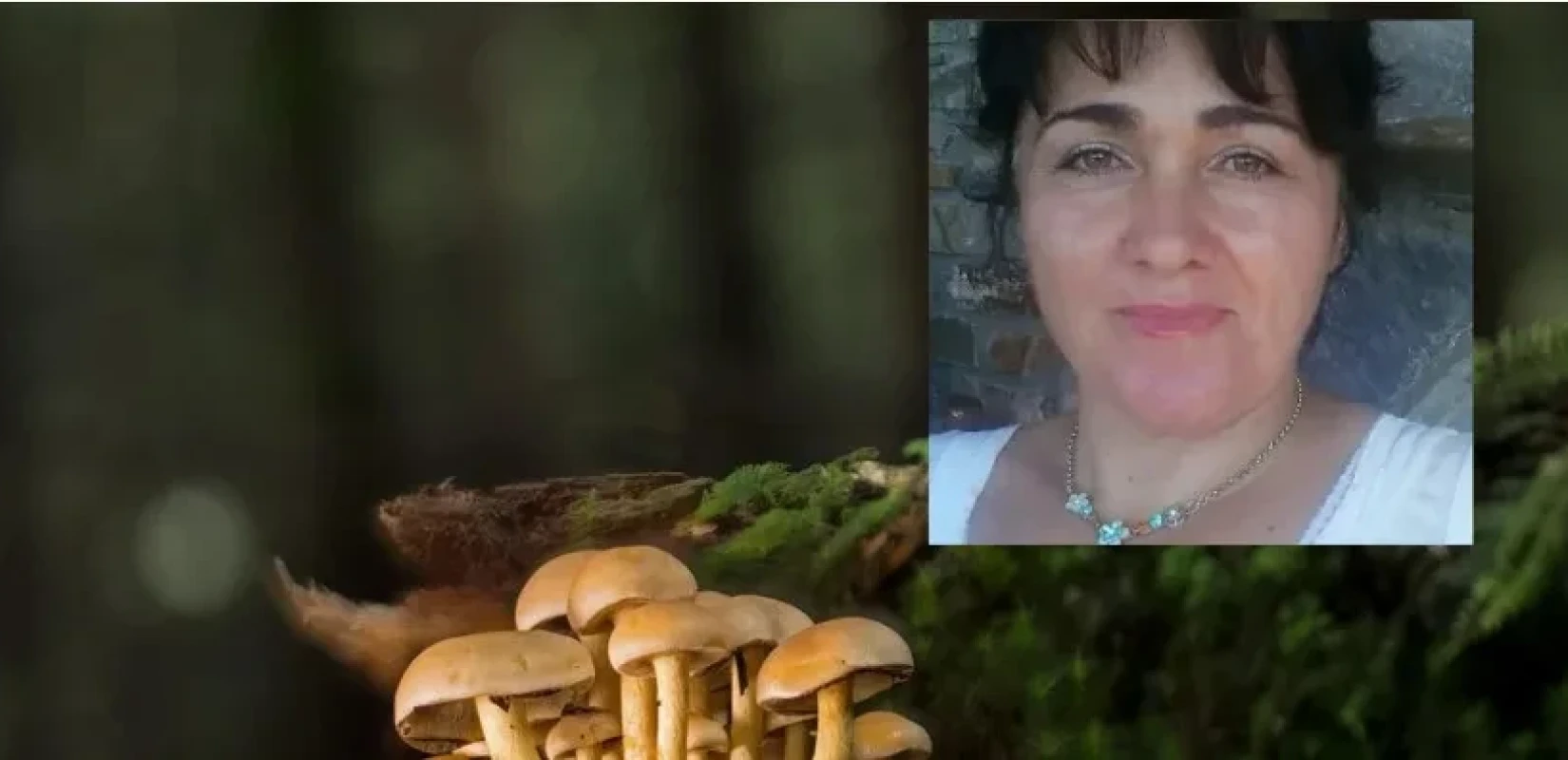 Αίσιο τέλος για το ζευγάρι που δηλητηριάστηκε από άγρια μανιτάρια στην Έδεσσα - Γλίτωσαν την μεταμόσχευση (βίντεο)