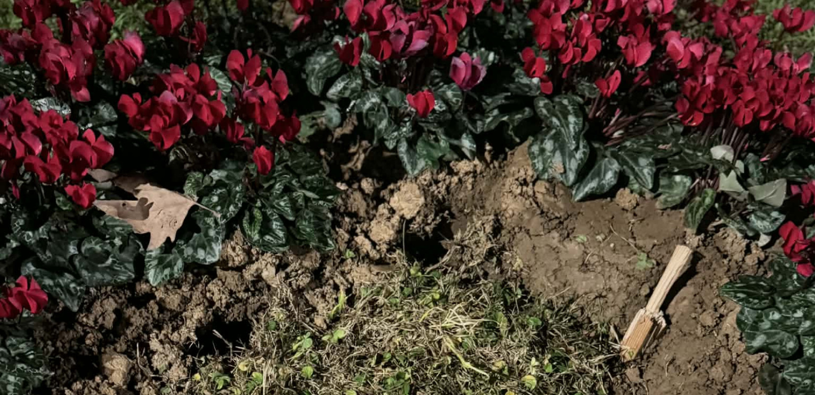 Θεσσαλονίκη: Ξήλωσαν τη μαρμάρινη πλάκα για τις κακοποιημένες γυναίκες από τη Νέα Παραλία