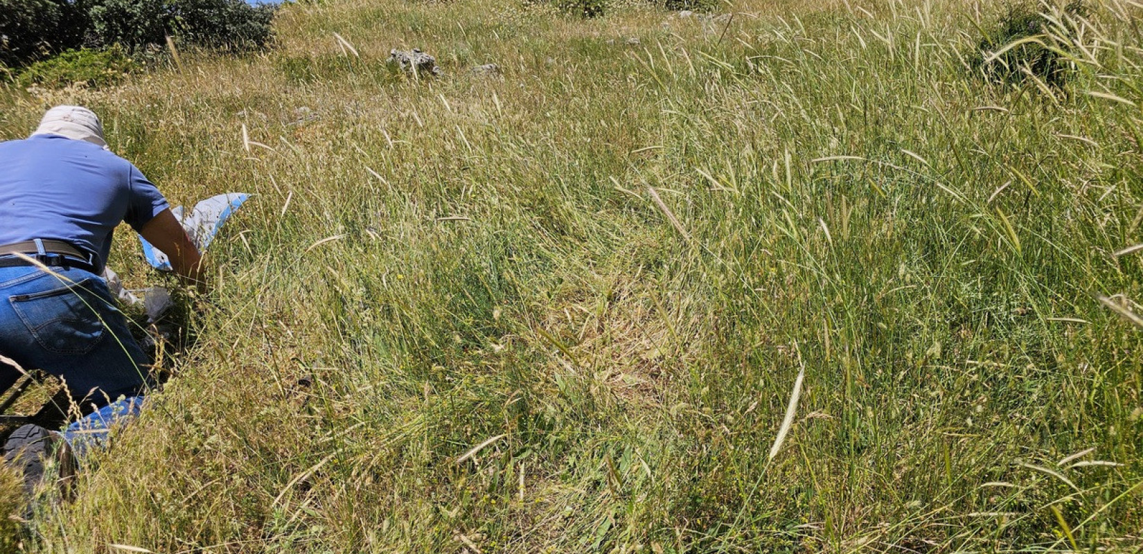 Συνεργασία ελληνικών πανεπιστημίων: Πετυχαίνοντας την αειφορία της κτηνοτροφίας στα υψηλά όρη υπό συνθήκες κλιματικής αλλαγής