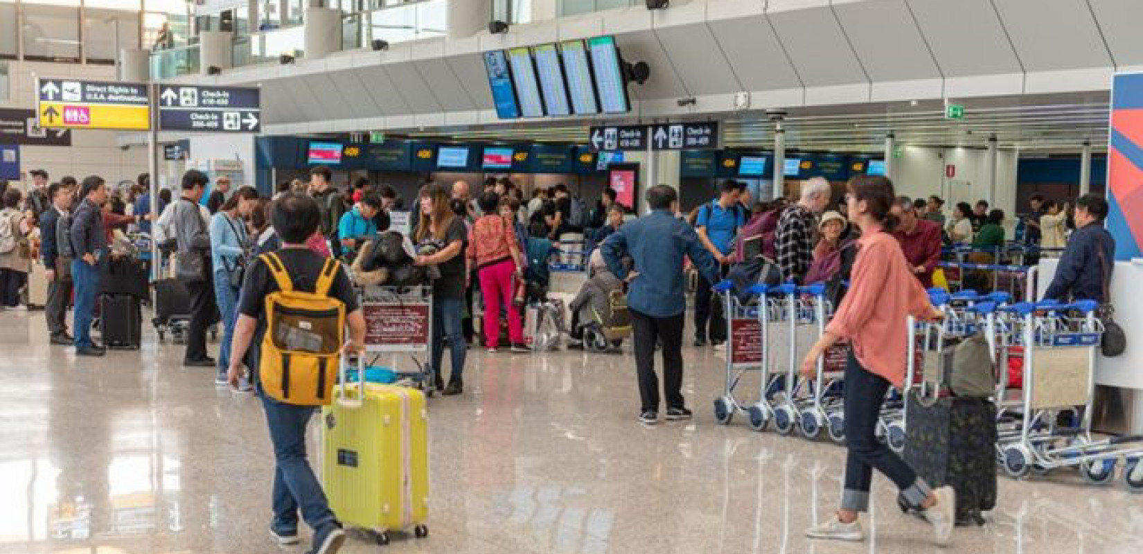 Ιταλία: Τεράστιες αυξήσεις στα αεροπορικά εισιτήρια για τους Ιταλούς φοιτητές ενόψει των εορτών