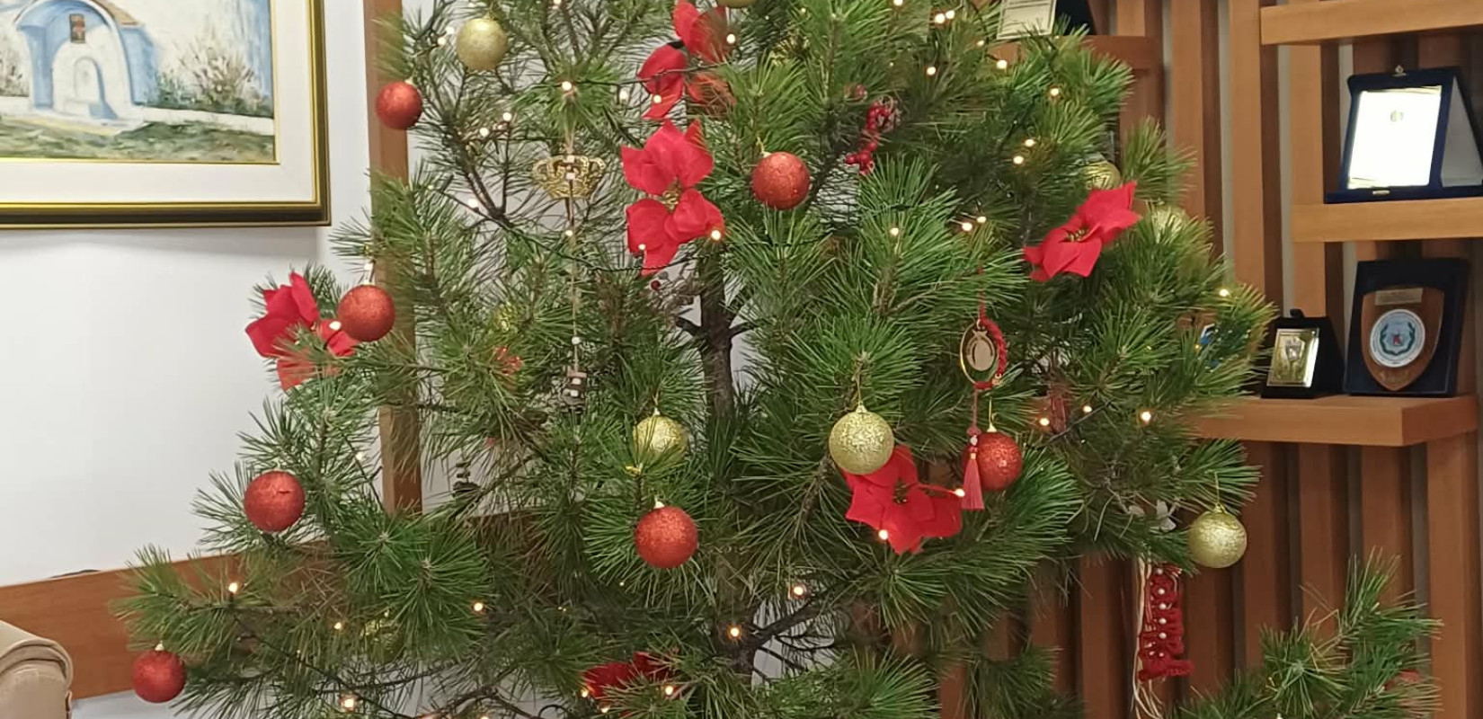 Χριστουγεννιάτικα δέντρα, το γιορτινό δώρο της Δημοτικής Κοινότητας Κιλκίς