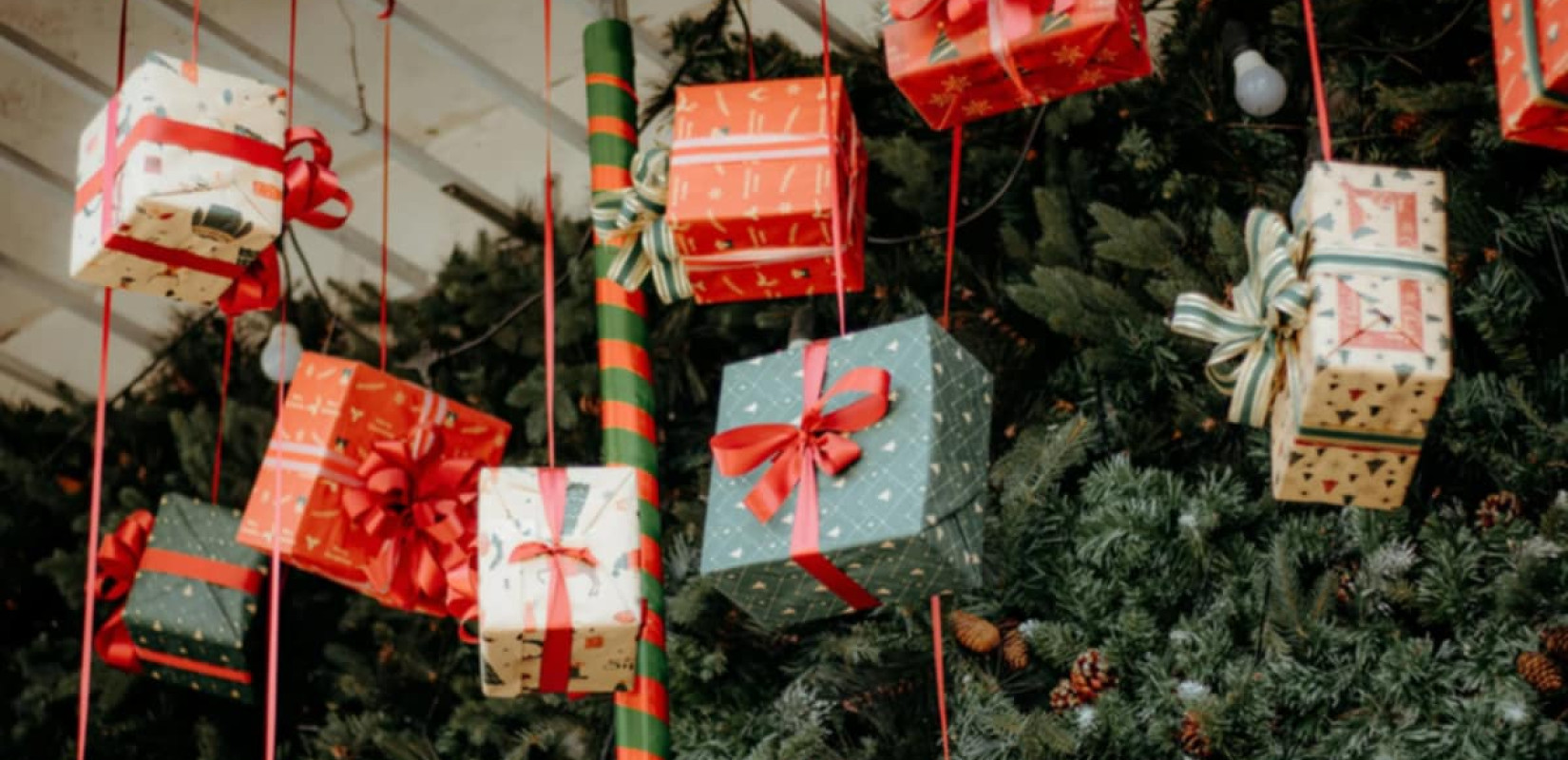 Θεσσαλονίκη: Ένα «Δέντρο της Ελπίδας» γεμάτο αστέρια και ζωή στην πλατεία Αριστοτέλους