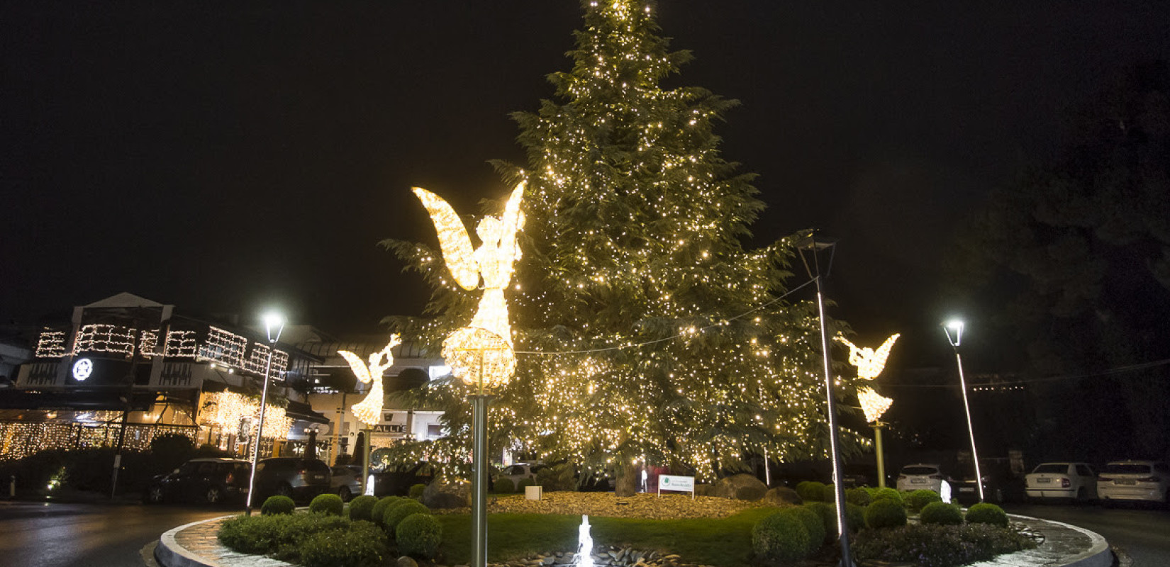 Θεσσαλονίκη: Φωταγωγήθηκε το χριστουγεννιάτικο δέντρο στον δήμο Πυλαίας - Χορτιάτη