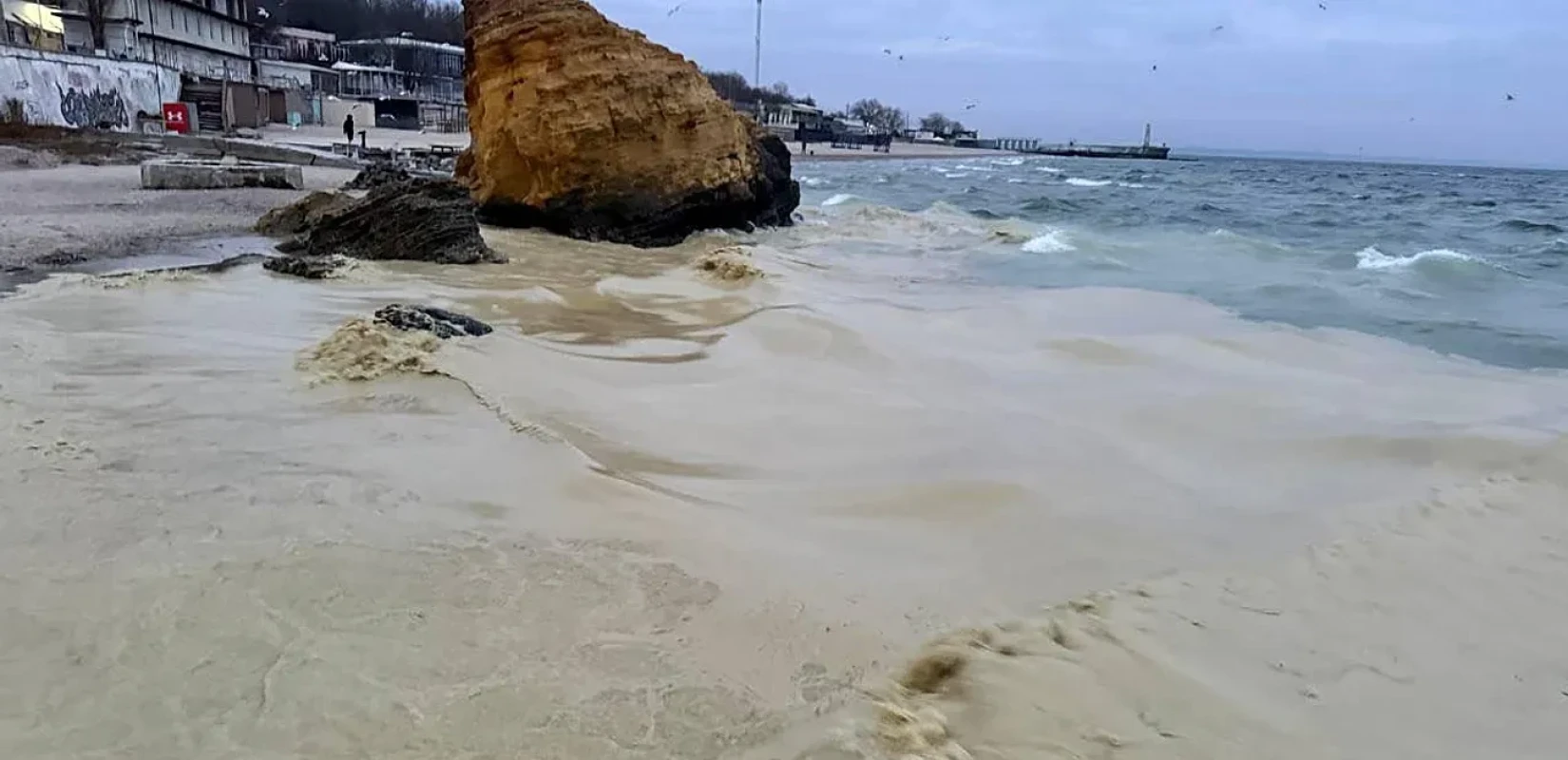 Μαύρη Θάλασσα: Ρύπανση από ηλιέλαιο μετά τα ρωσικά πλήγματα στην Οδησσό - Άμεσος κίνδυνος για τα θαλασσοπούλια της περιοχής