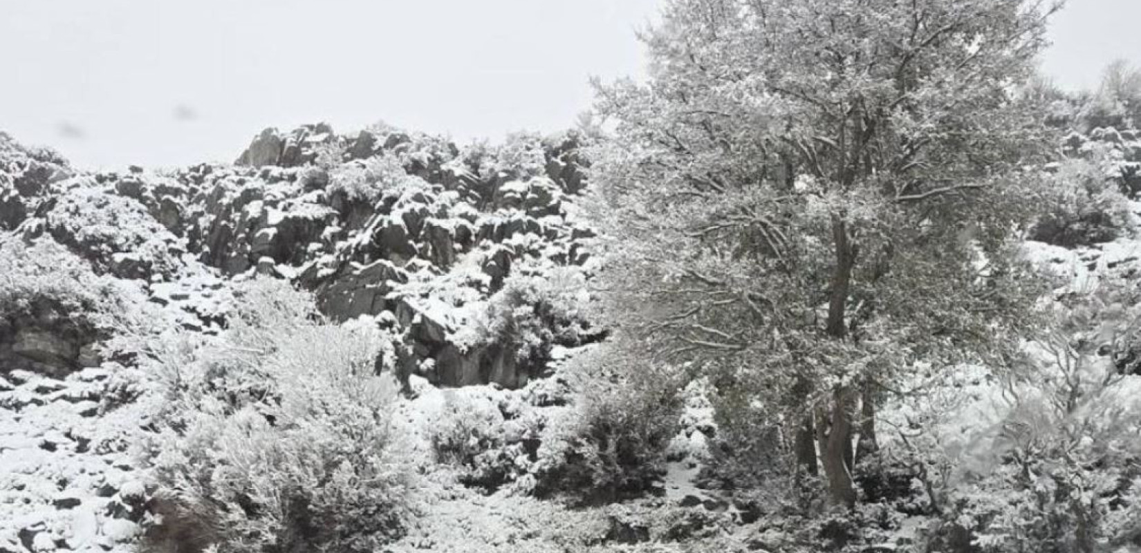 Κρήτη: Πρωτοχρονιάτικη... άσπρη μέρα είδαν τα ορεινά - Μαγικές εικόνες από τον χιονισμένο Ψηλορείτη