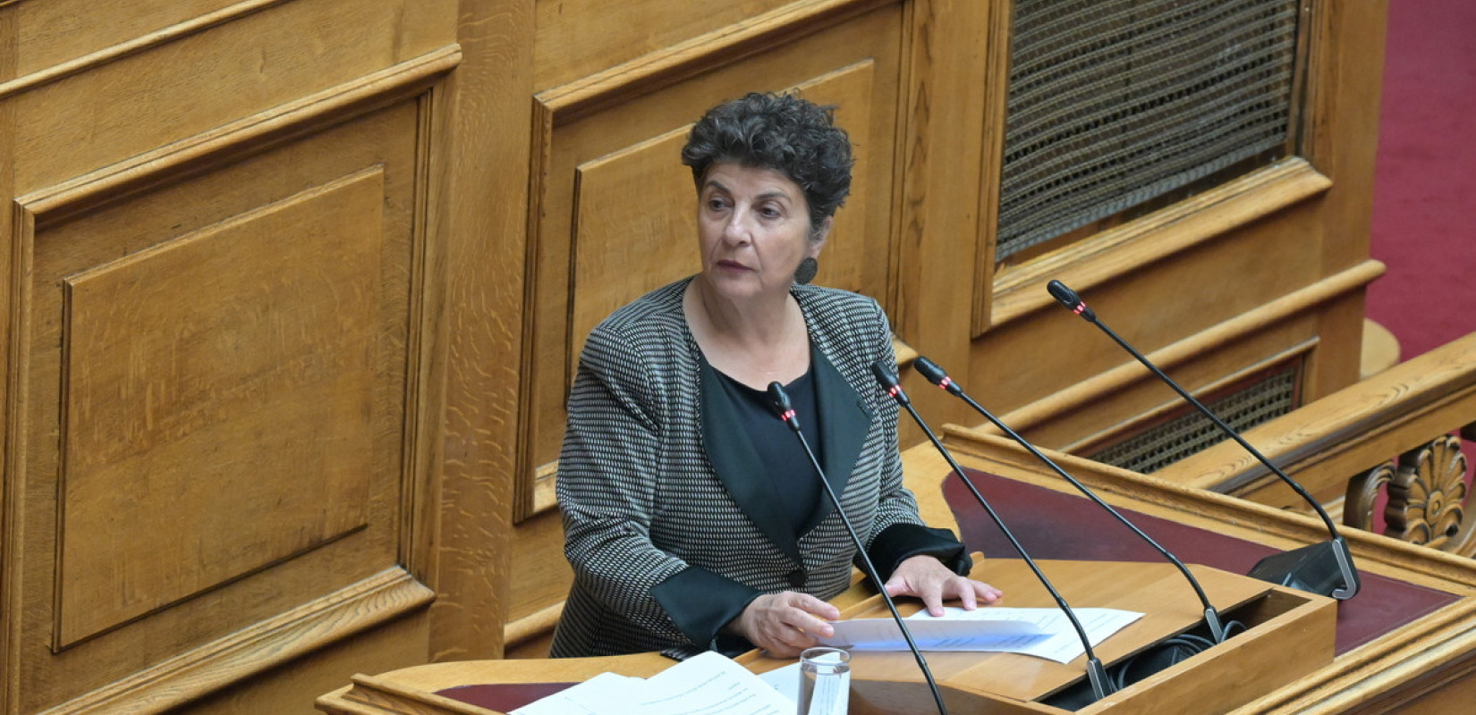 Κυριακή Μάλαμα στη «ΜτΚ»: Ο πρόεδρος του Κινήματος Δημοκρατίας εξέφρασε θέσεις με τις οποίες διαφωνώ κάθετα