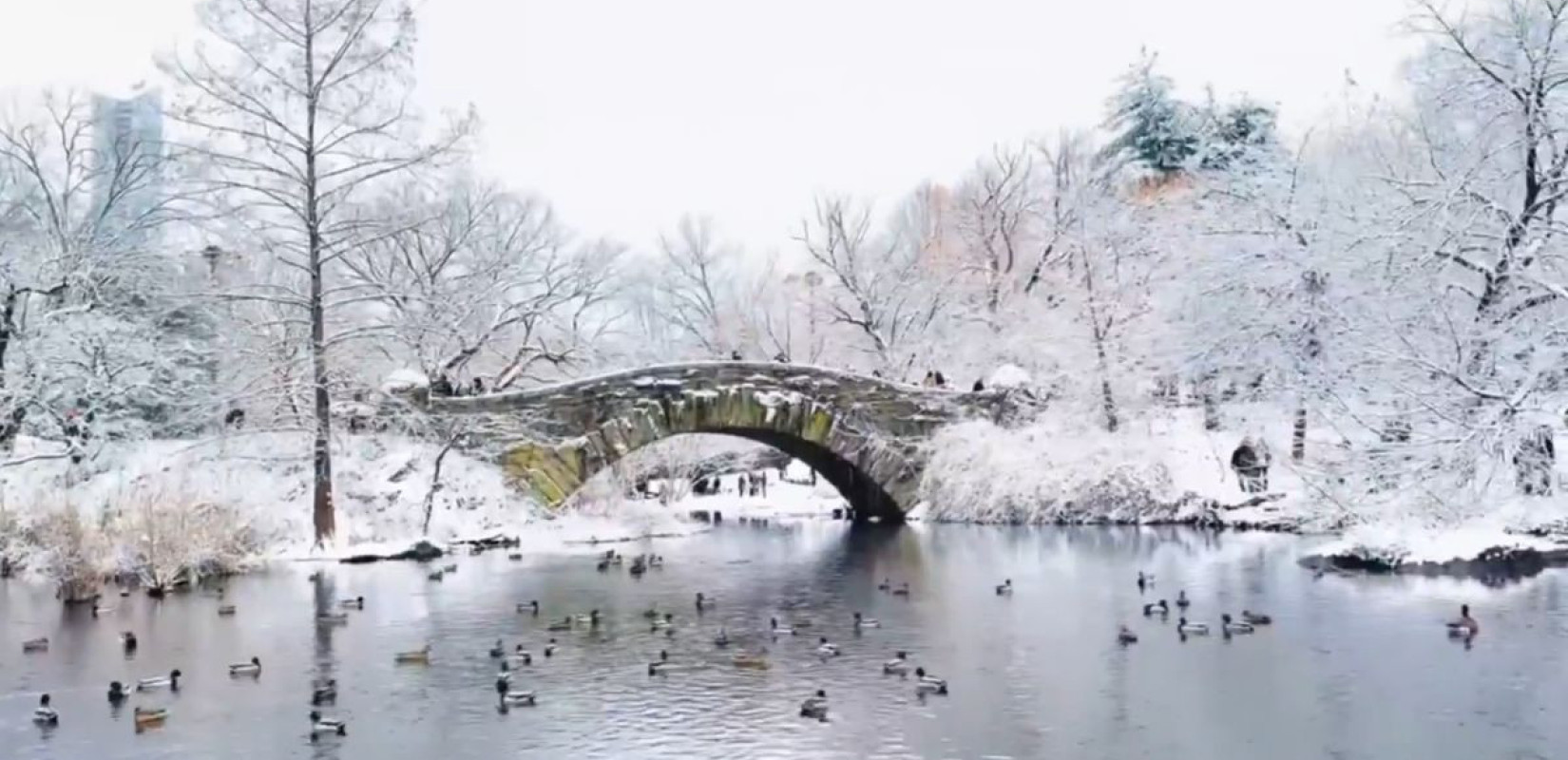 ΗΠΑ: Σε κατάσταση έκτακτης ανάγκης Νέα Υόρκη και Νιου Τζέρσεϊ λόγω του χιονιού (βίντεο)