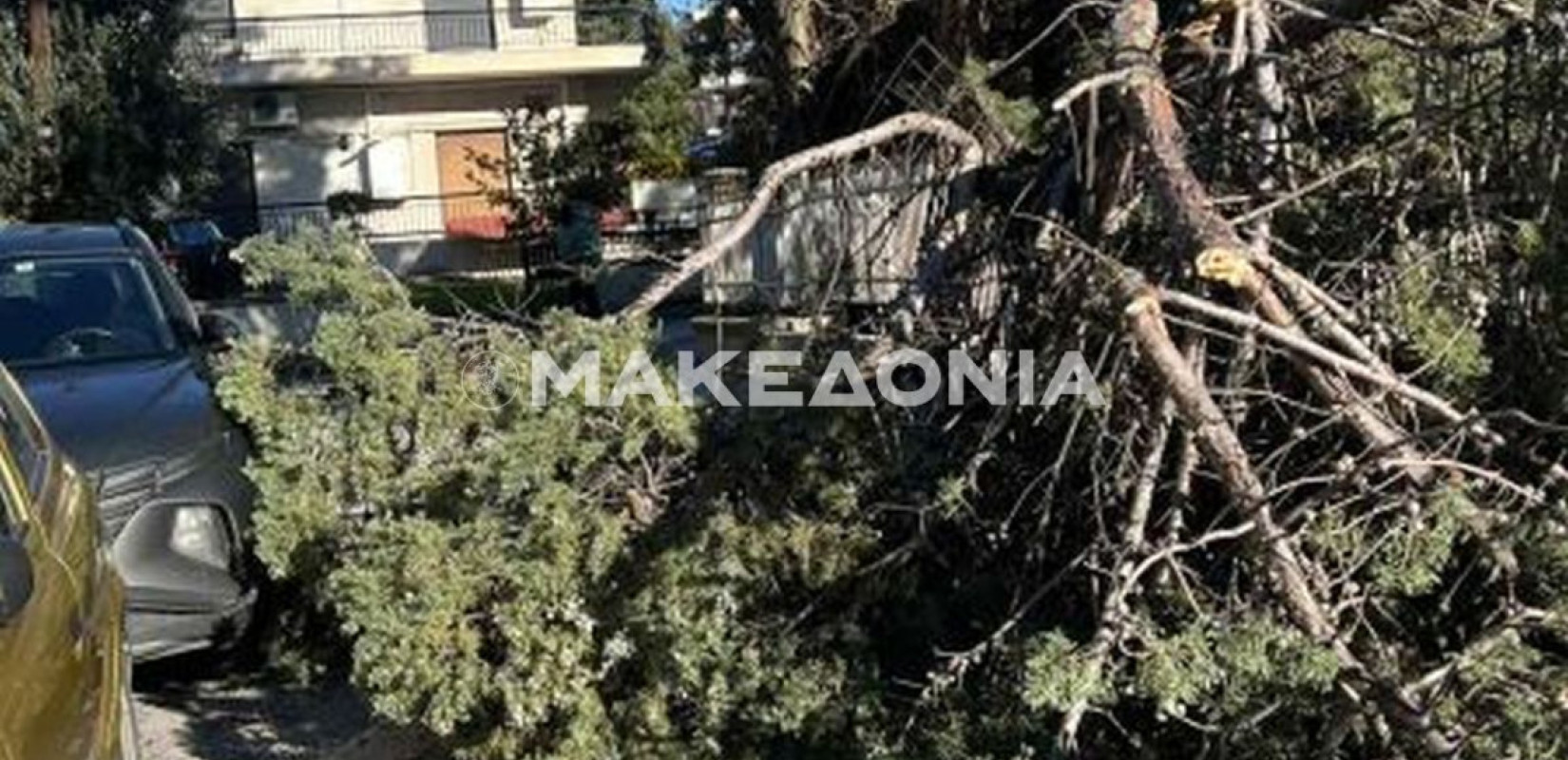 Δήμος Πυλαίας Χορτιάτη: Σε μία ακόμα έκτακτη ανάγκη, αυτή τη φορά στη μάχη με τα μποφόρ, ο δήμος μας βγήκε νικητής