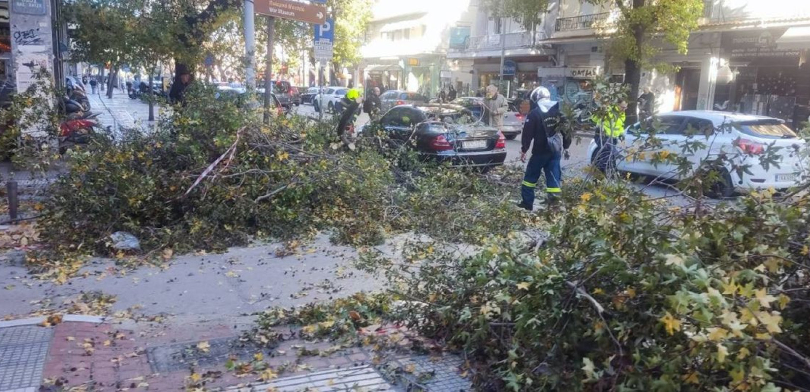 Κλαδιά στη Β. Γεωργίου - Πηγή φωτογραφίας: https://www.facebook.com/photo?fbid=33085271557754859&set=pcb.33085272697754745