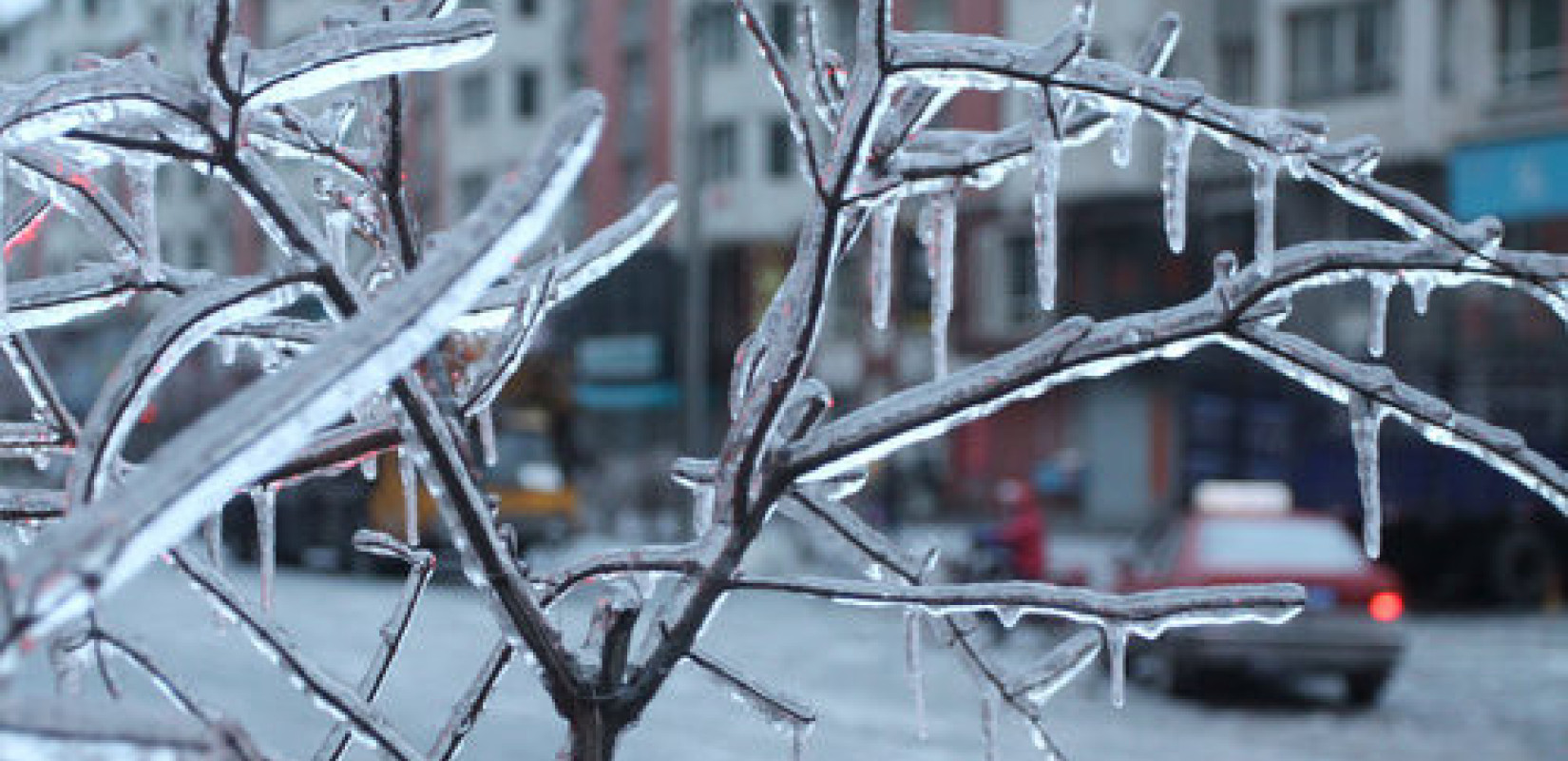 Από τον καύσωνα στον παγετό η Ελλάδα: Πού χτύπησαν «κόκκινο» τα θερμόμετρα και πού σημειώθηκαν οι χαμηλότερες τιμές