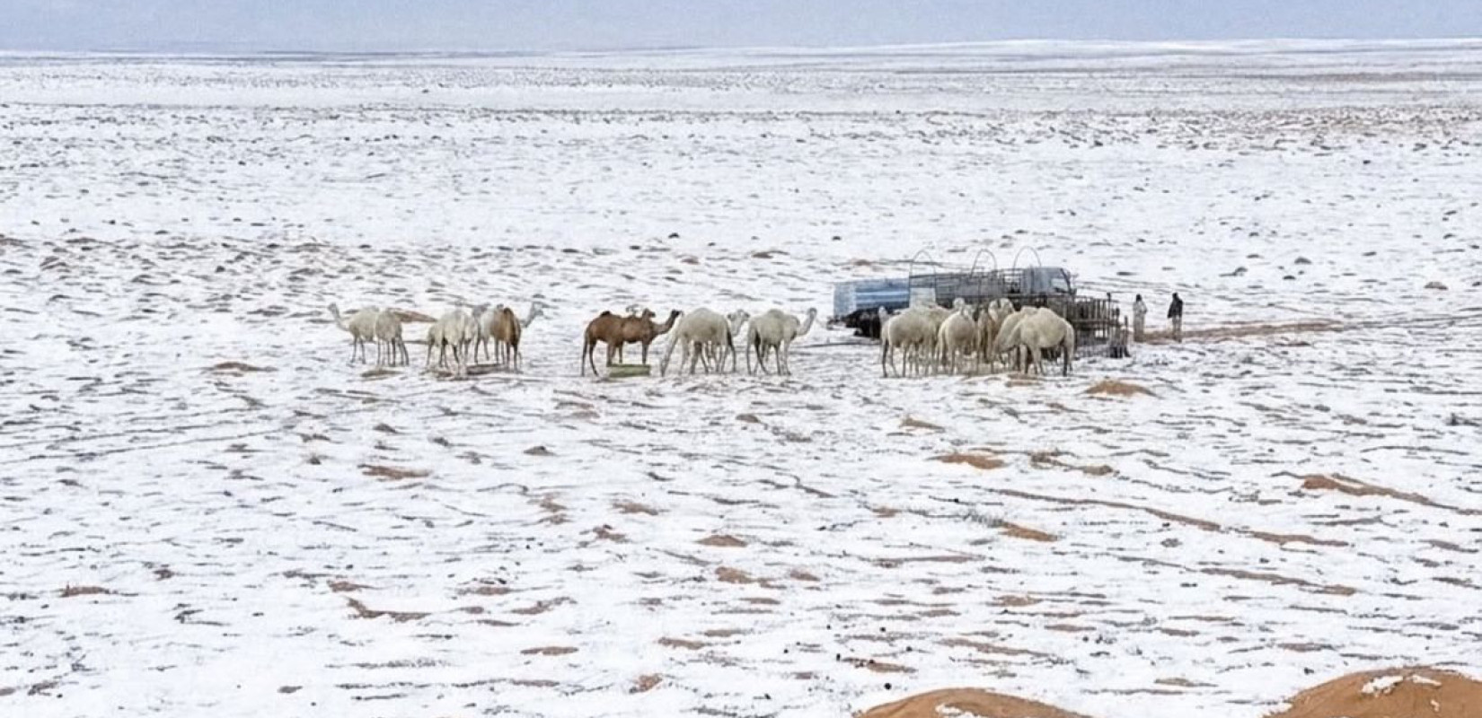Πηγή φωτογραφίας: https://x.com/GlobeEyeNews/status/2002407360841855482/photo/3