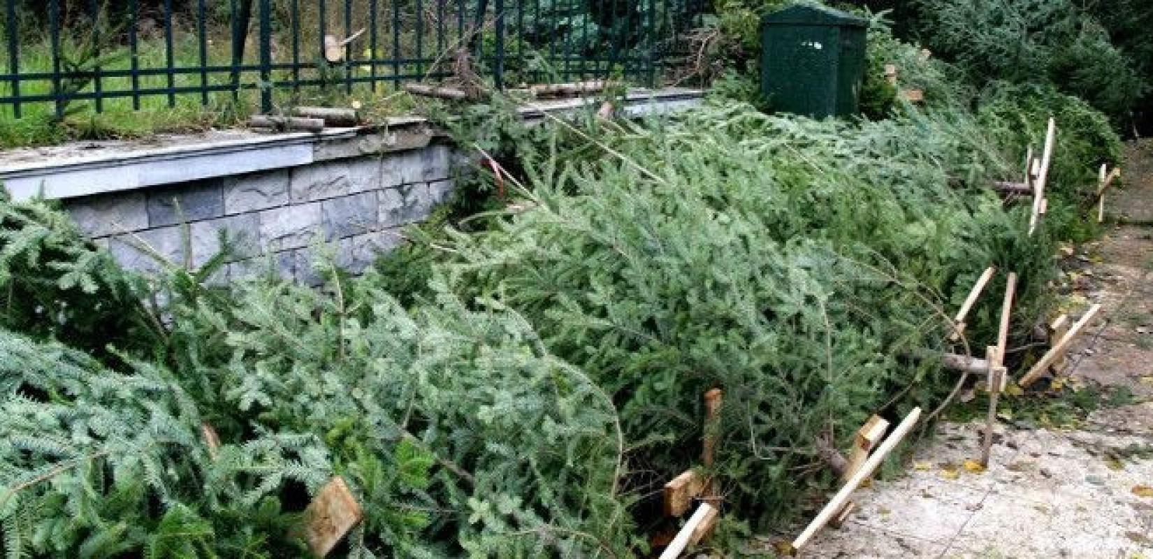 Ι. Καϊτεζίδης: « «Ανακυκλώνουμε το χριστουγεννιάτικο δένδρο με ένα τηλεφώνημα στο 15195»