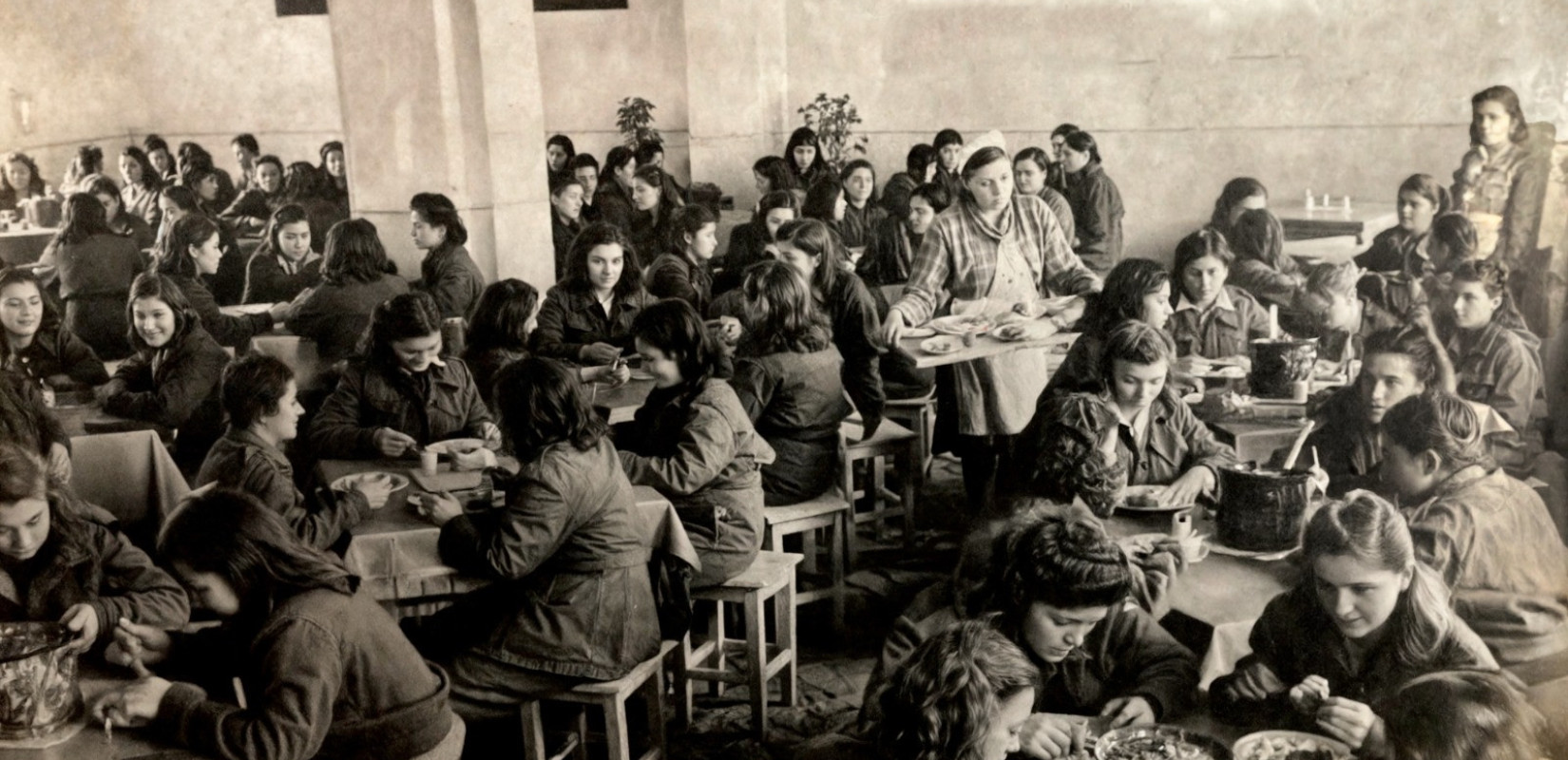 Καλαμαριά: Η έκθεση «Το Ελληνικό Θαύμα στην Τασκένδη» παρουσιάζει τον Ελληνισμό της Κεντρικής Ασίας