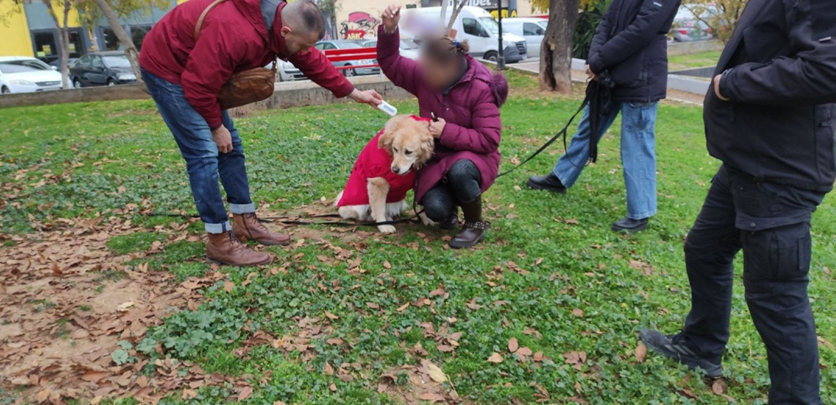 Θεσσαλονίκη: Σχεδόν 10.000 ευρώ πρόστιμα σε κηδεμόνες ζώων τον Δεκέμβριο