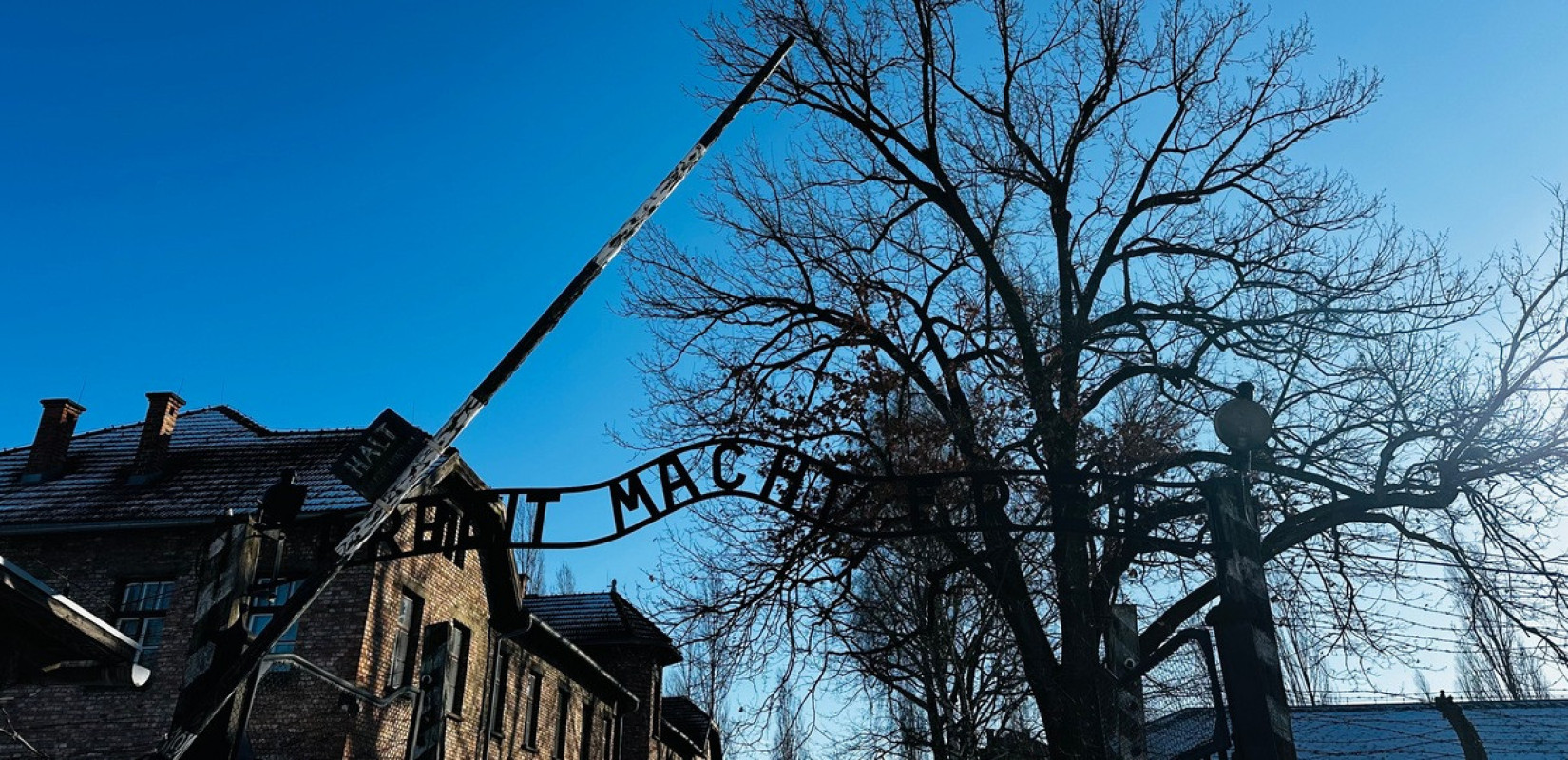 Οδοιπορικό στο Άουσβιτς: Το Μνημείο του Ολοκαυτώματος και της ανθρώπινης τραγωδίας (βίντεο)