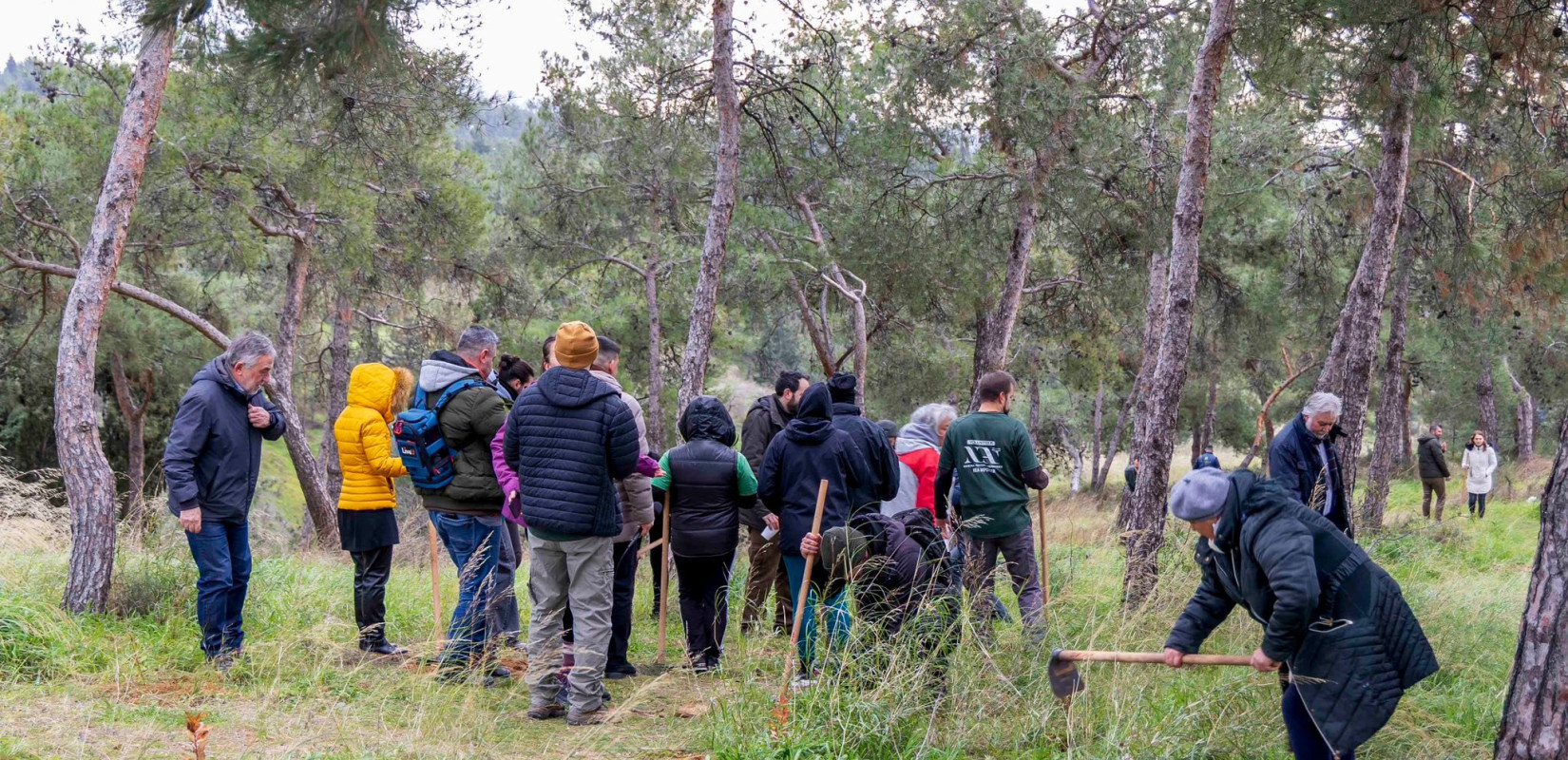 Θεσσαλονίκη: Φυτεύτηκαν 1.000 νέα δέντρα στην Τριανδρία