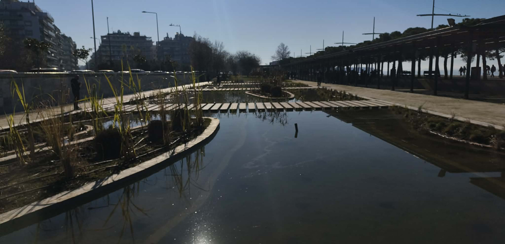 Θεσσαλονίκη: Επέστρεψε με άρωμα... Ιαπωνίας ο Κήπος του Νερού - Διαθέτει υδρόβια φυτά και ψάρια