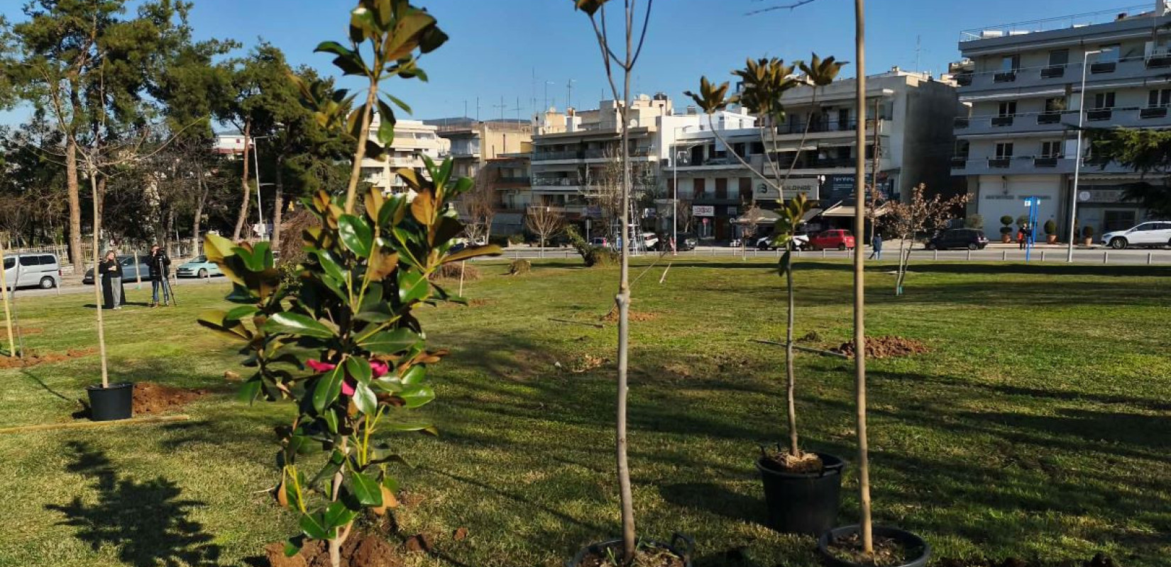Θεσσαλονίκη: Φύτεψαν 50 δέντρα στη μνήμη αγαπημένων προσώπων που έφυγαν από τη ζωή (βίντεο)