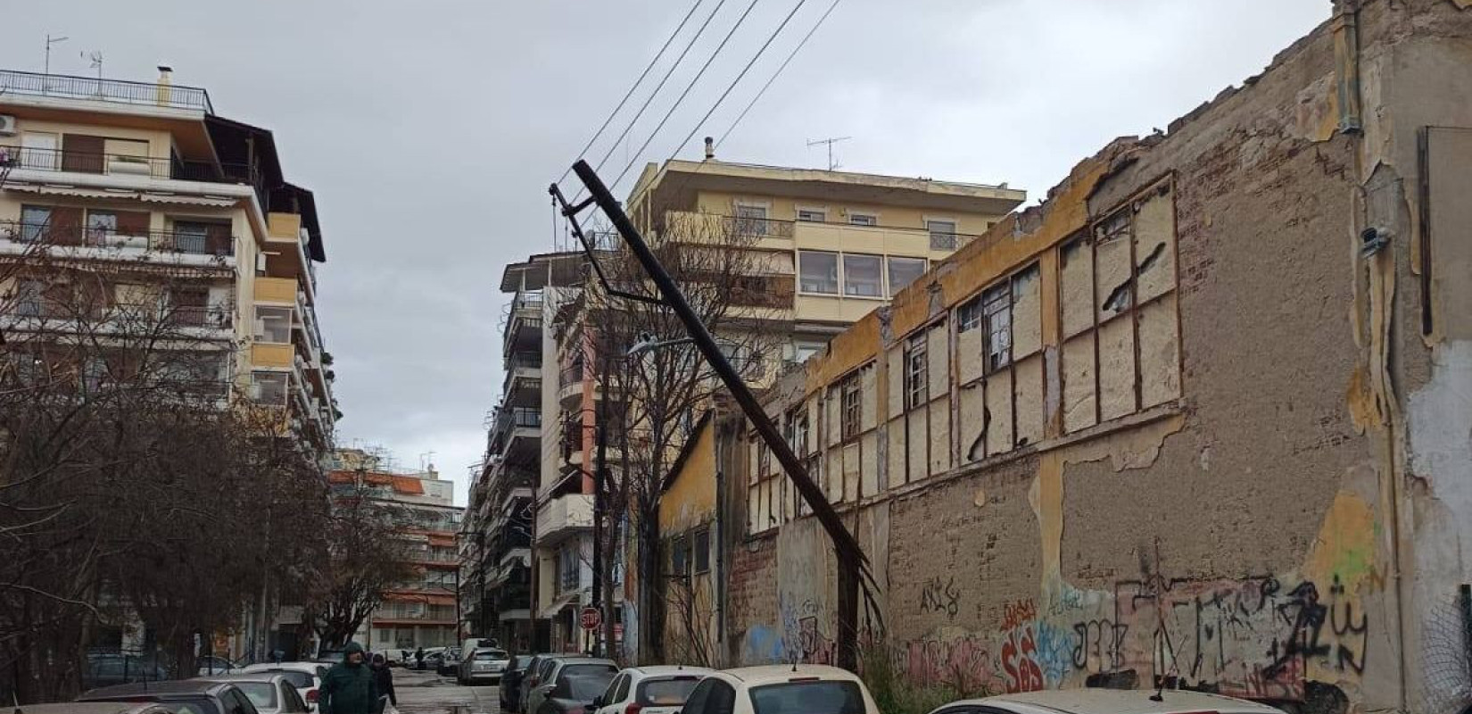 Κεντρική Μακεδονία: Δεκάδες κλήσεις για πτώσεις δέντρων - Ξηλώθηκε η στέγη στην «Αλυσίδα» - Προβλήματα στους δρόμους