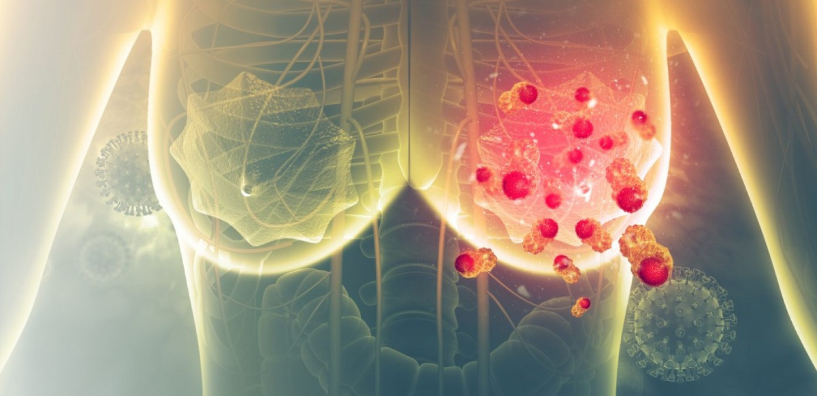 Μαστογραφία με Τεχνητή Νοημοσύνη: Η νέα εποχή στην πρόληψη του καρκίνου του μαστού