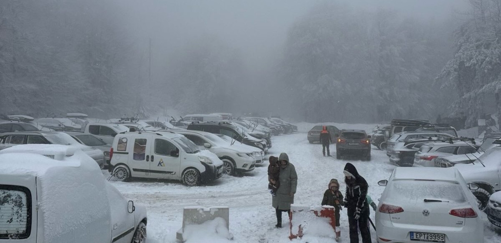 Πηγή: ΕΟΣ Σερρών ΧΚ Λαϊλιά