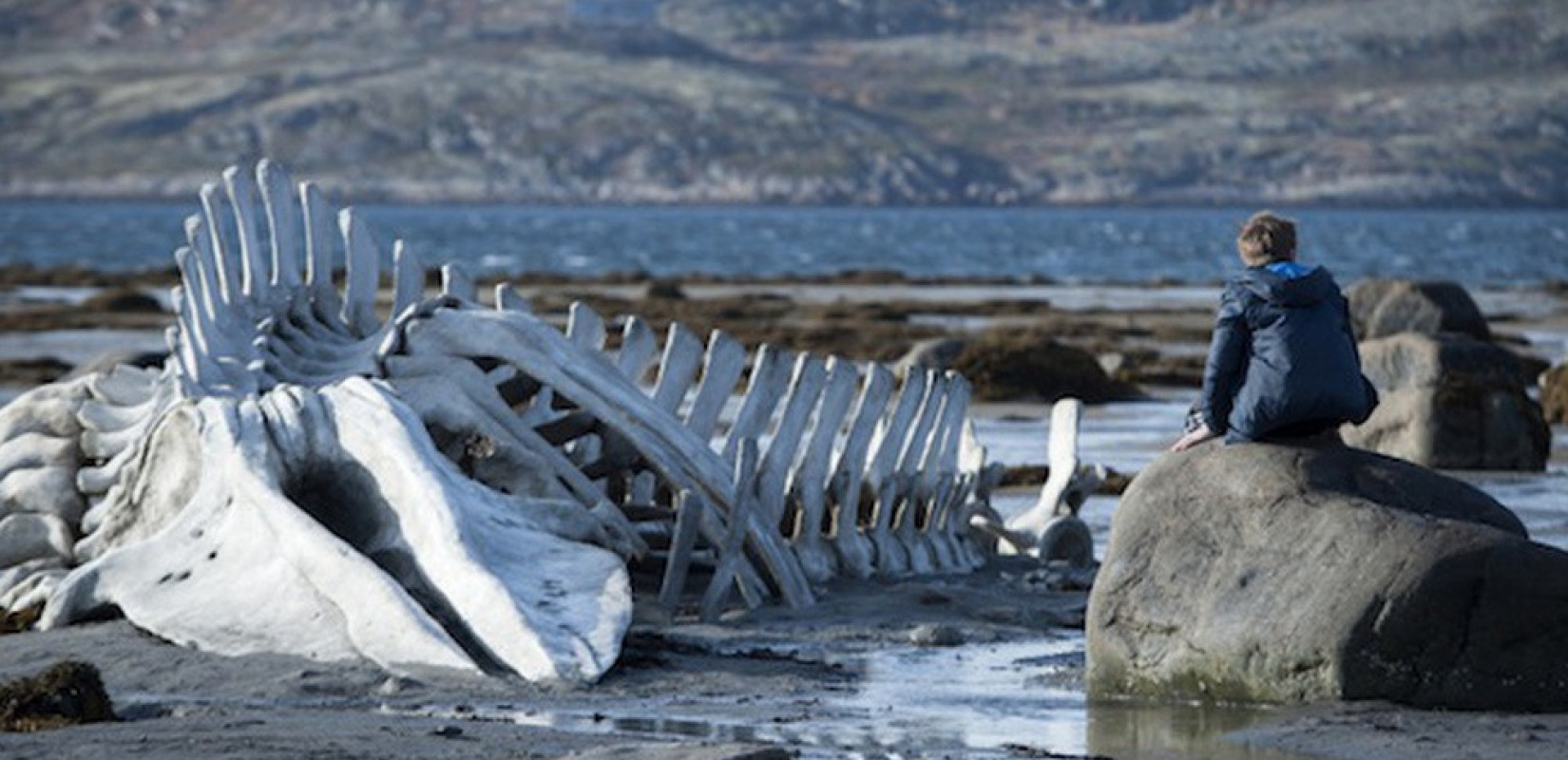 Δήμος Νεάπολης Συκεών: Δωρεάν προβολές στην Κινηματογραφική Λέσχη Η Πόλη Αλλιώς