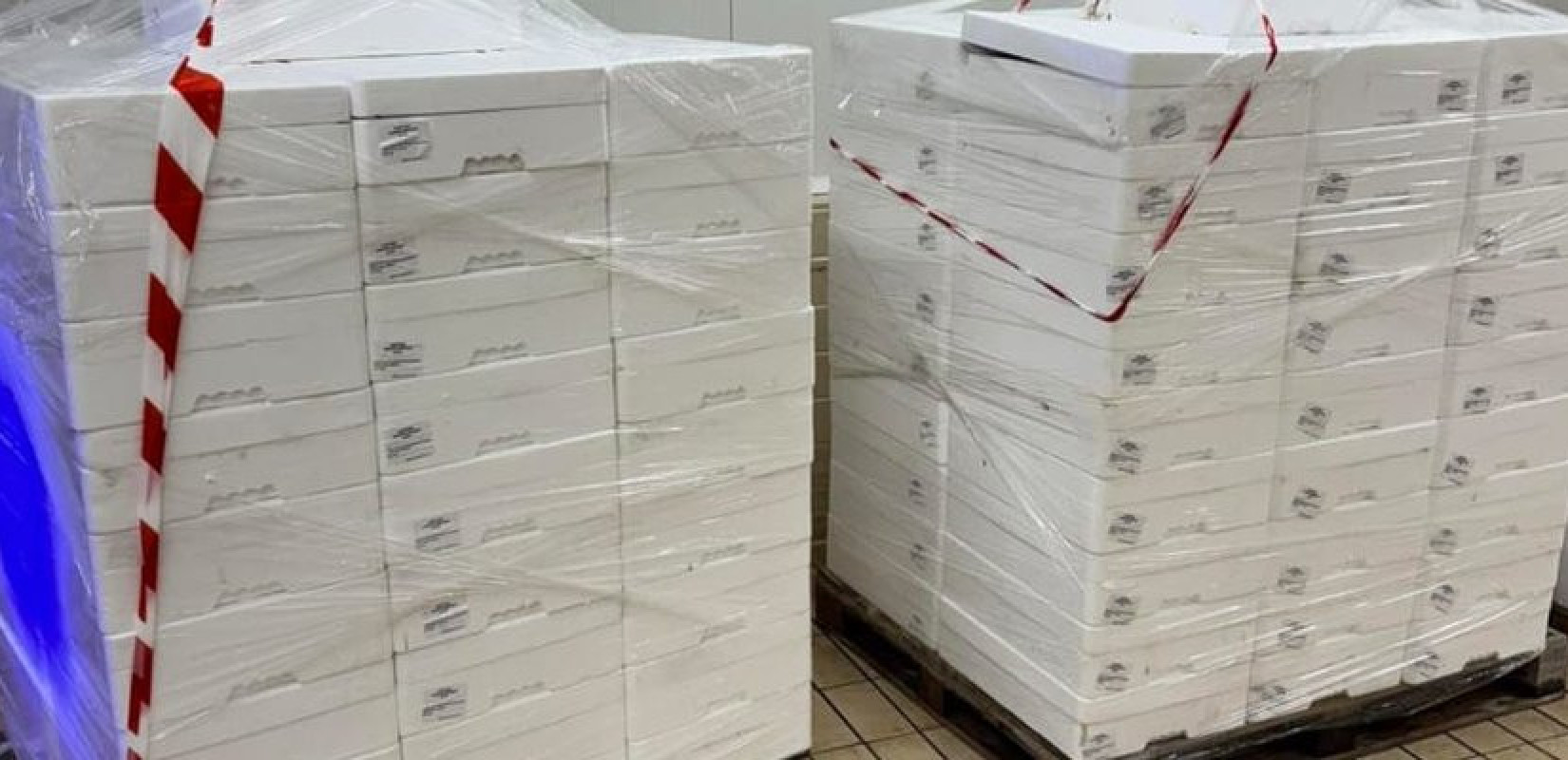 Λιμενικό: Κατάσχεση 2,4 τόνων αλιευμάτων στην Καβάλα εξαιτίας αλίευσης σε απαγορευμένη περίοδο