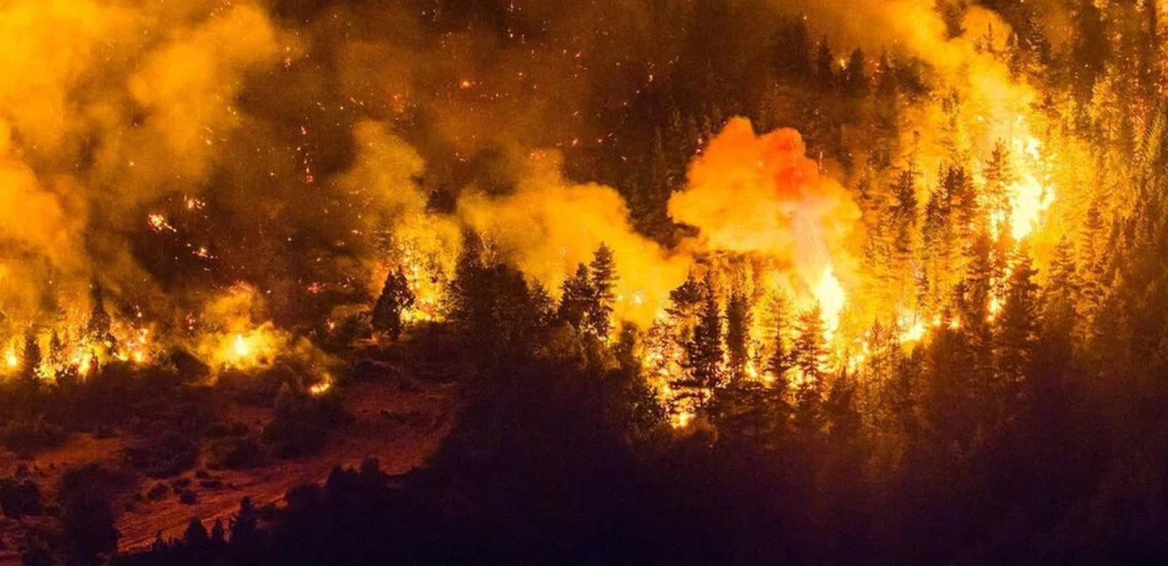 Πυρκαγιές στην Παταγονία: Η Αργεντινή κηρύσσει κατάσταση έκτακτης ανάγκης - «Στάχτη» περίπου 450.000 στρέμματα δασικών εκτάσεων