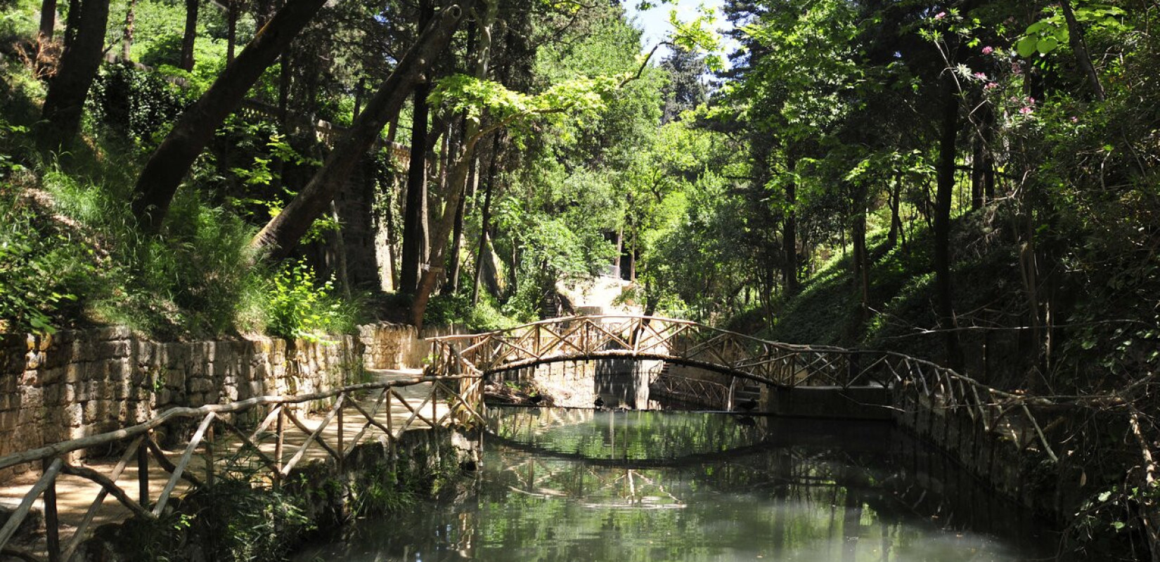 Ρόδος: Είδος ξενικού υδρόβιου σαλιγκαριού εντοπίστηκε στο πάρκο Ροδίνι – Η ανησυχία για την εμφάνισή του