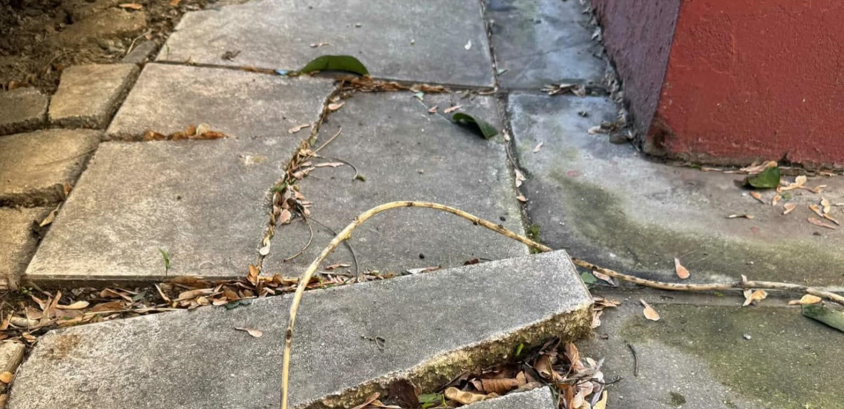 «Λίφτινγκ» στα πεζοδρόμια της Θεσσαλονίκης