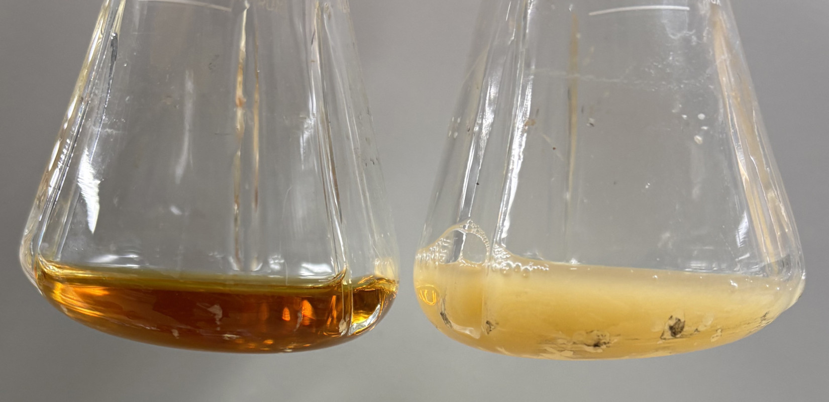 Επιστήμονες κατάφεραν να δημιουργήσουν ενώσεις με αντικαρκινικές και αντιφλεγμονώδεις ιδιότητες από βακτήρια E.coli