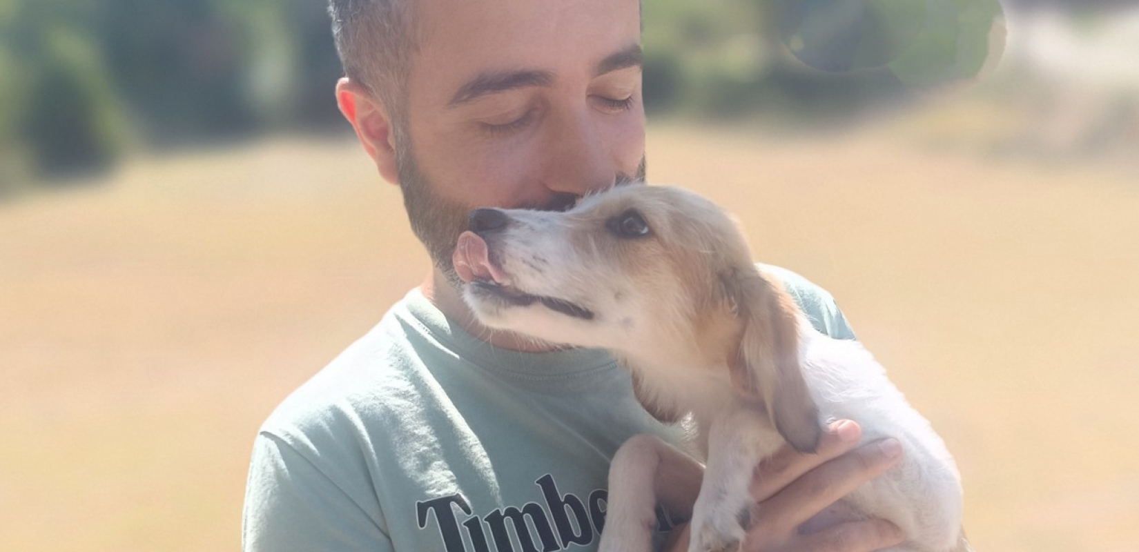 Πάνω από 200 ζώα υιοθετήθηκαν στον Δήμο Πολυγύρου